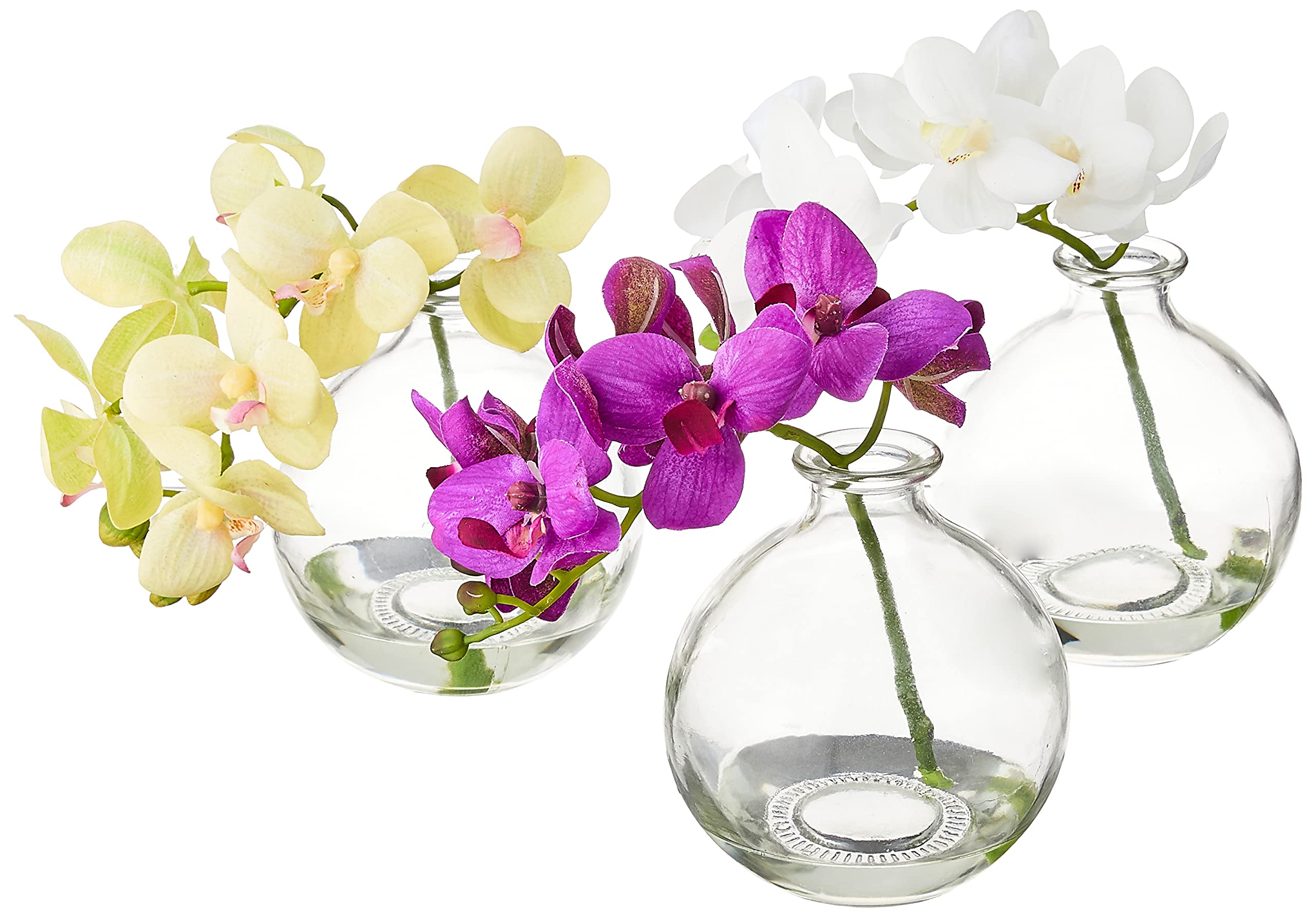 Nearly Natural 4208-S3 9 Phalaenopsis Orchid Artificial Arrangement in Vase (Set of 3) 9 Phalaenopsis Orchid Arrangement in Vase