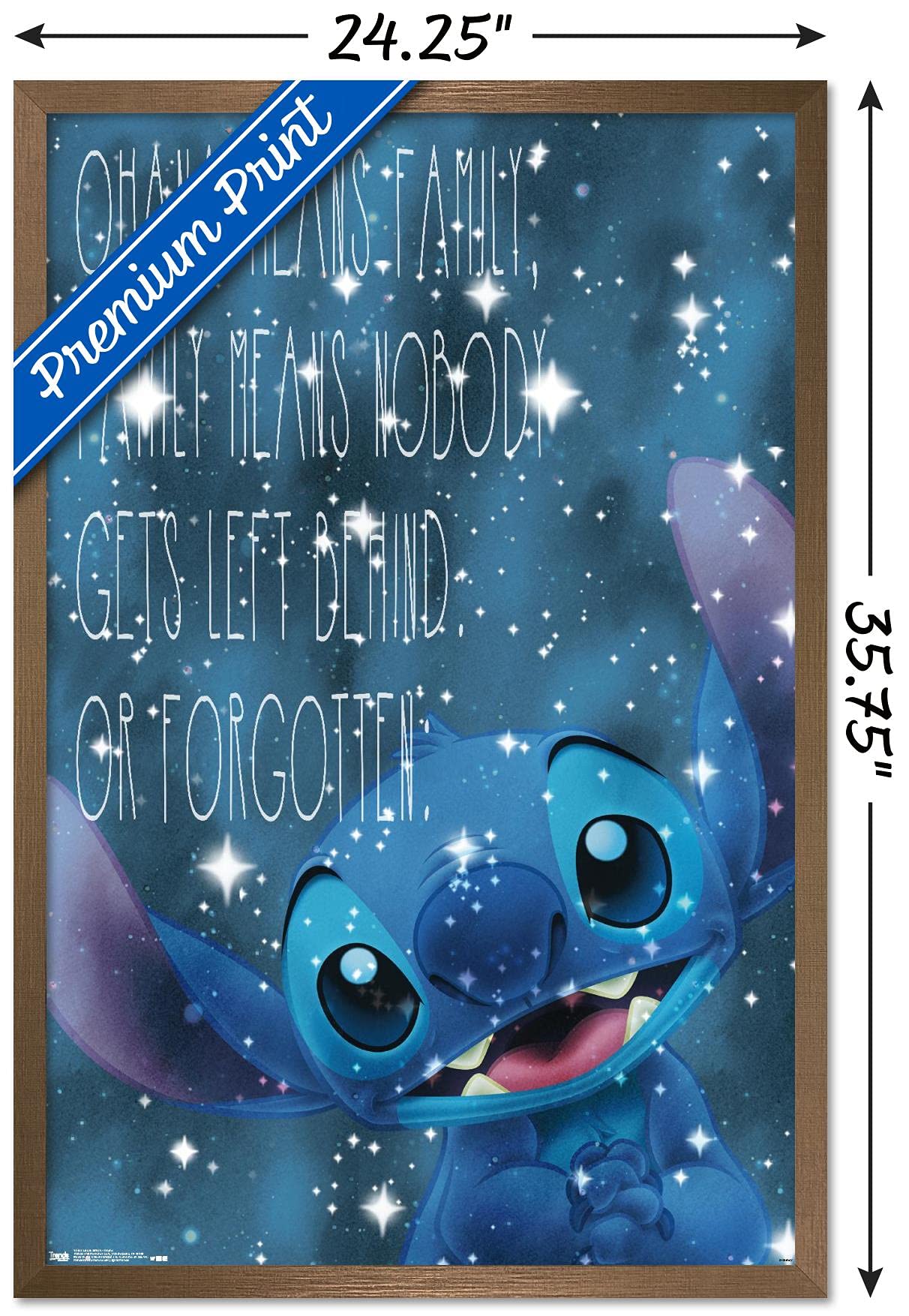 Trends International Disney Lilo And Stitch - Ohana Wall Poster, 22.375'' X 34'', Bronze Framed Version