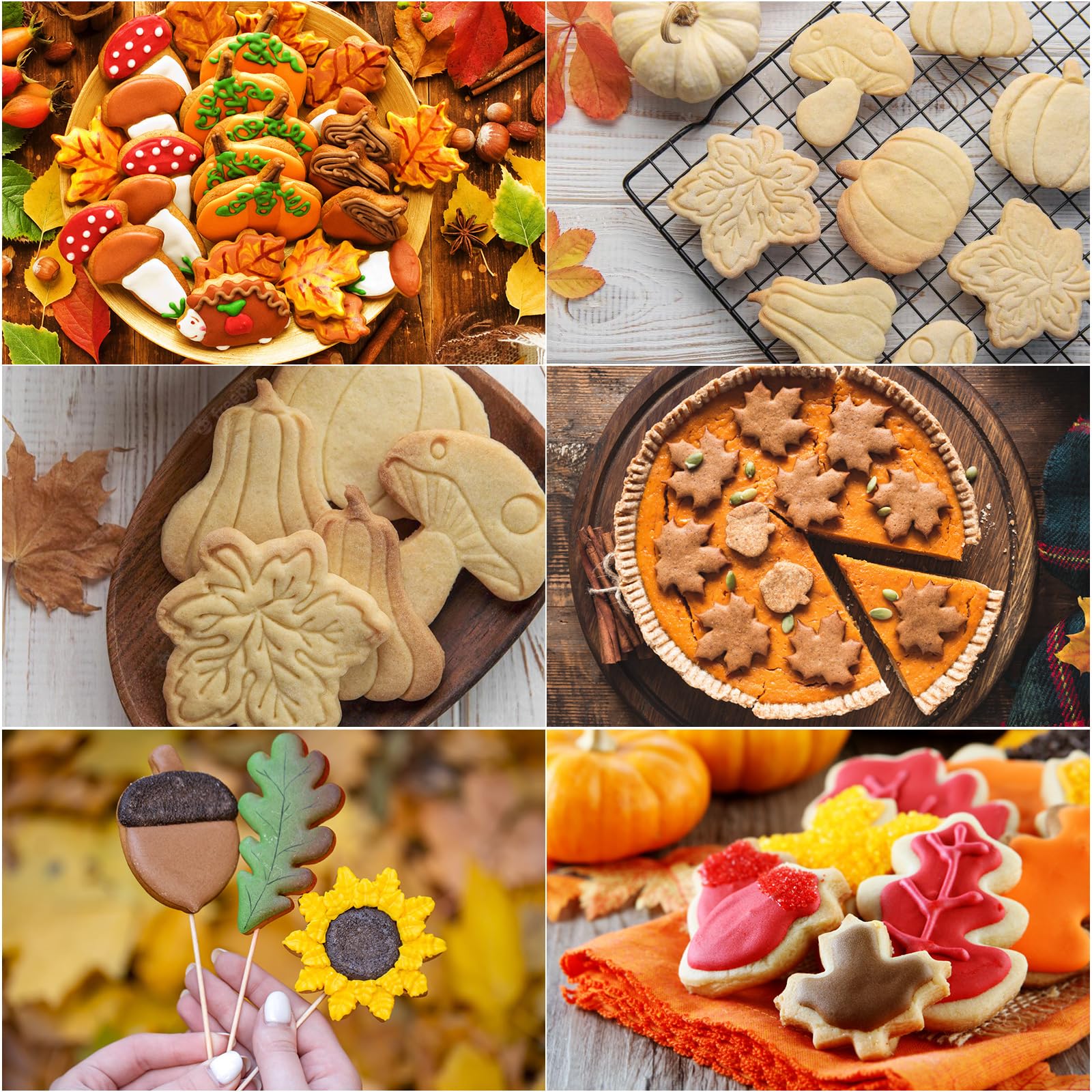 Mapvolut 14Pcs Thanksgiving Cookie Cutters, Food-Grade Stainless Steel Biscuit Cutters With Turkey Pumpkin Acorn Maple-Leaf, Eas