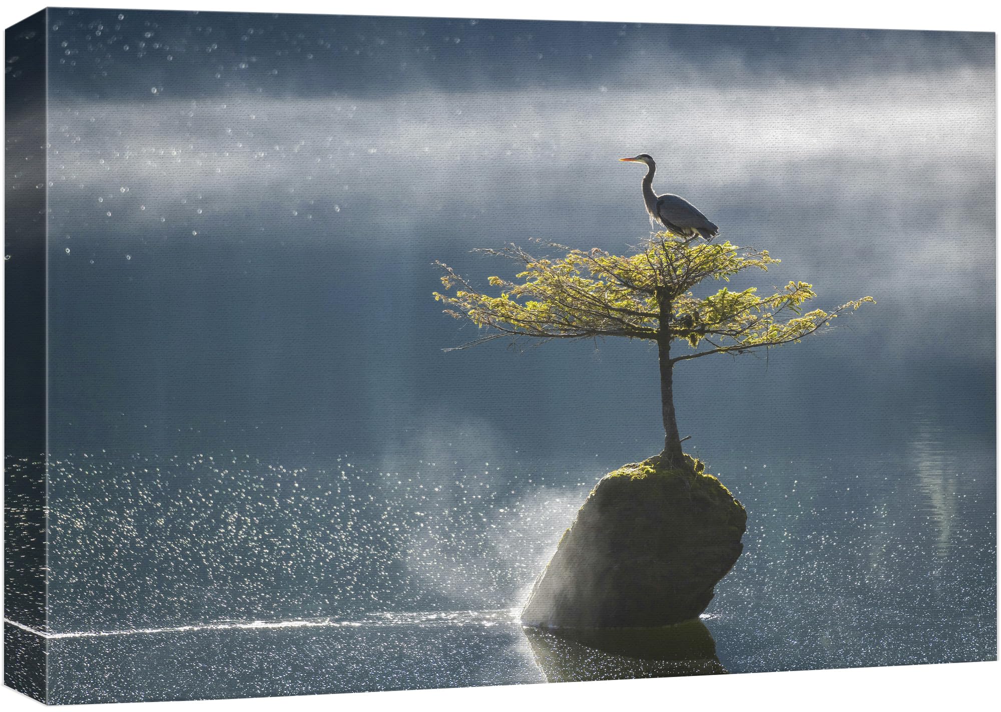 Wall26 Canvas Print Wall Art Solitary Bird On Tree In Misty Lake Animals Photography Realism Rustic Scenic Landscape Wilderness