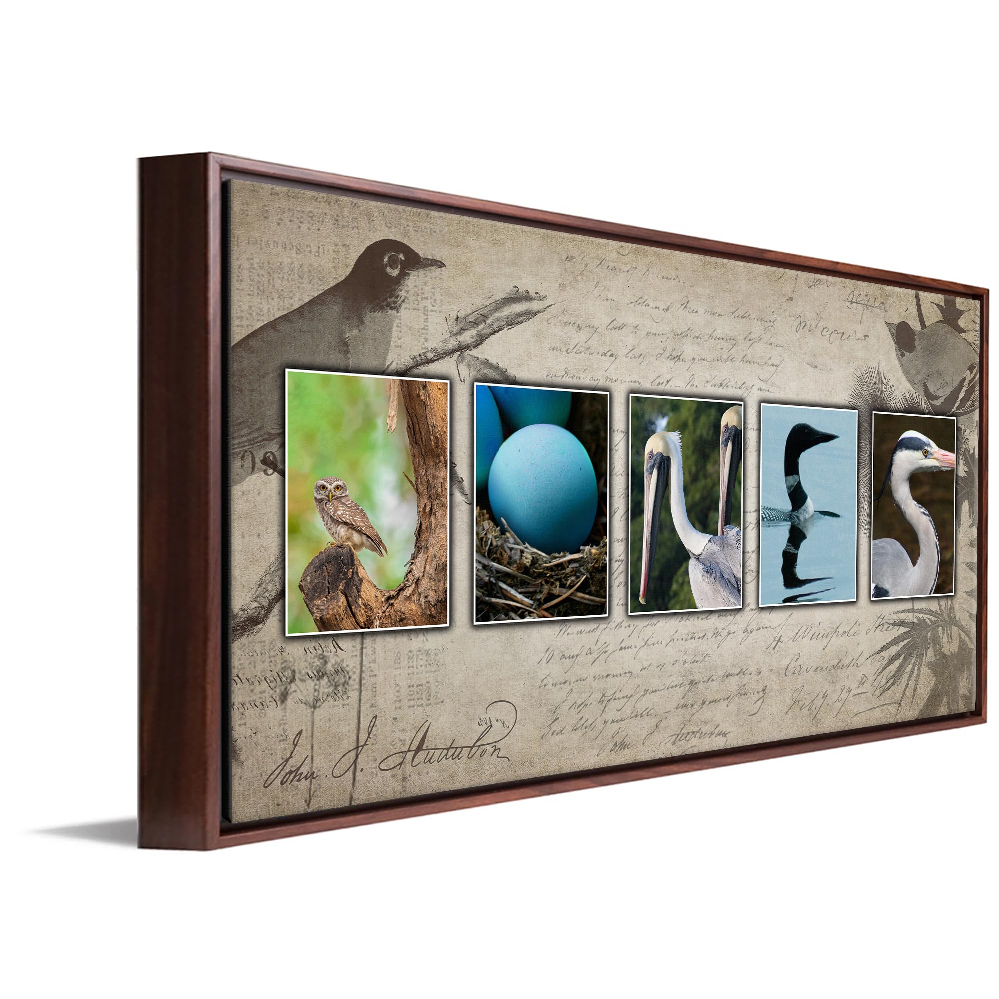 Personal-Prints Bird Watching Or Birdwatching Personalized Name Art D  Cor Gift | Customized Name Art Present For A Birdwatcher