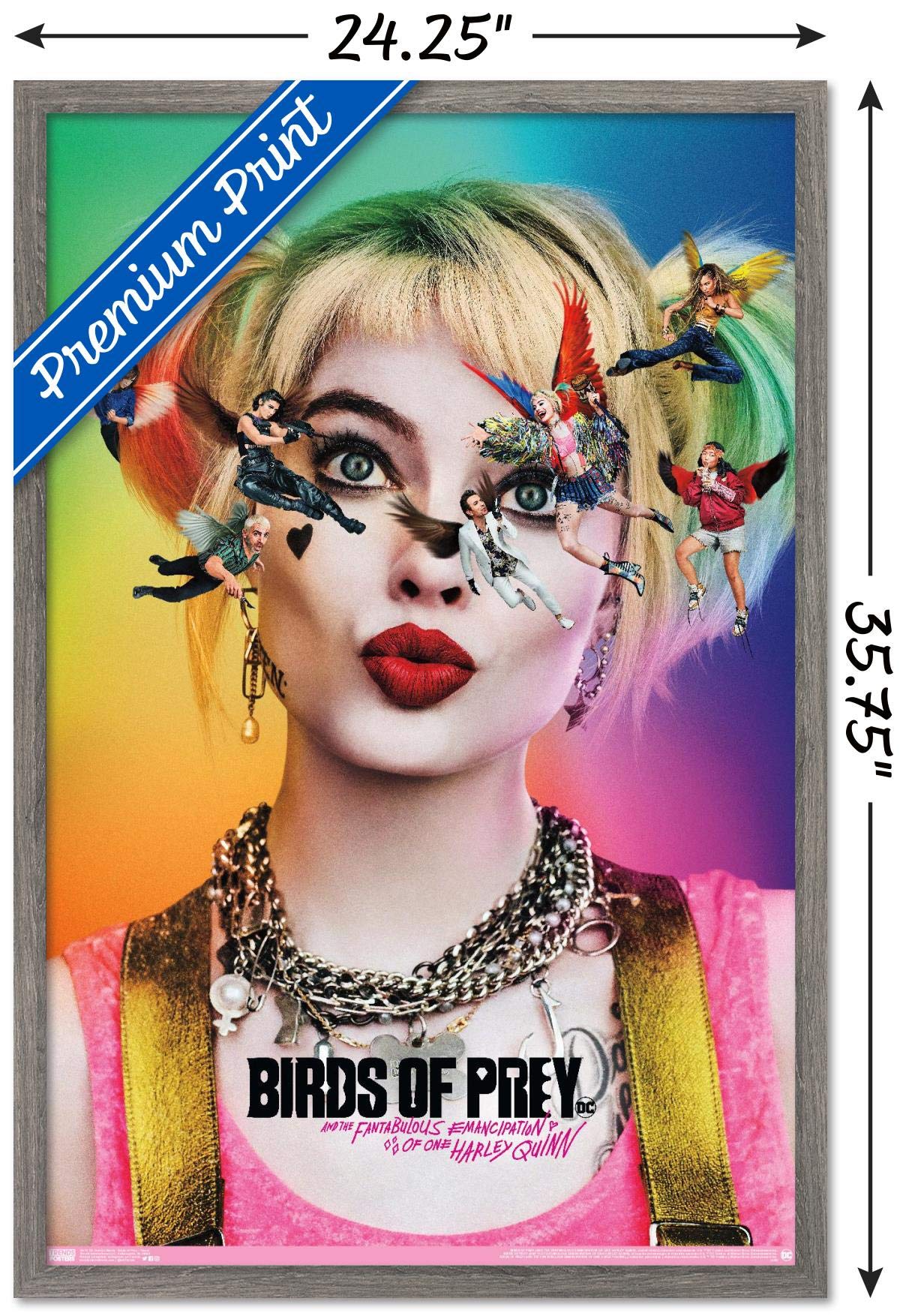 Trends International Dc Comics Movie - Birds Of Prey - Teaser Wall Poster, 22.375'' X 34'', Barnwood Framed Version