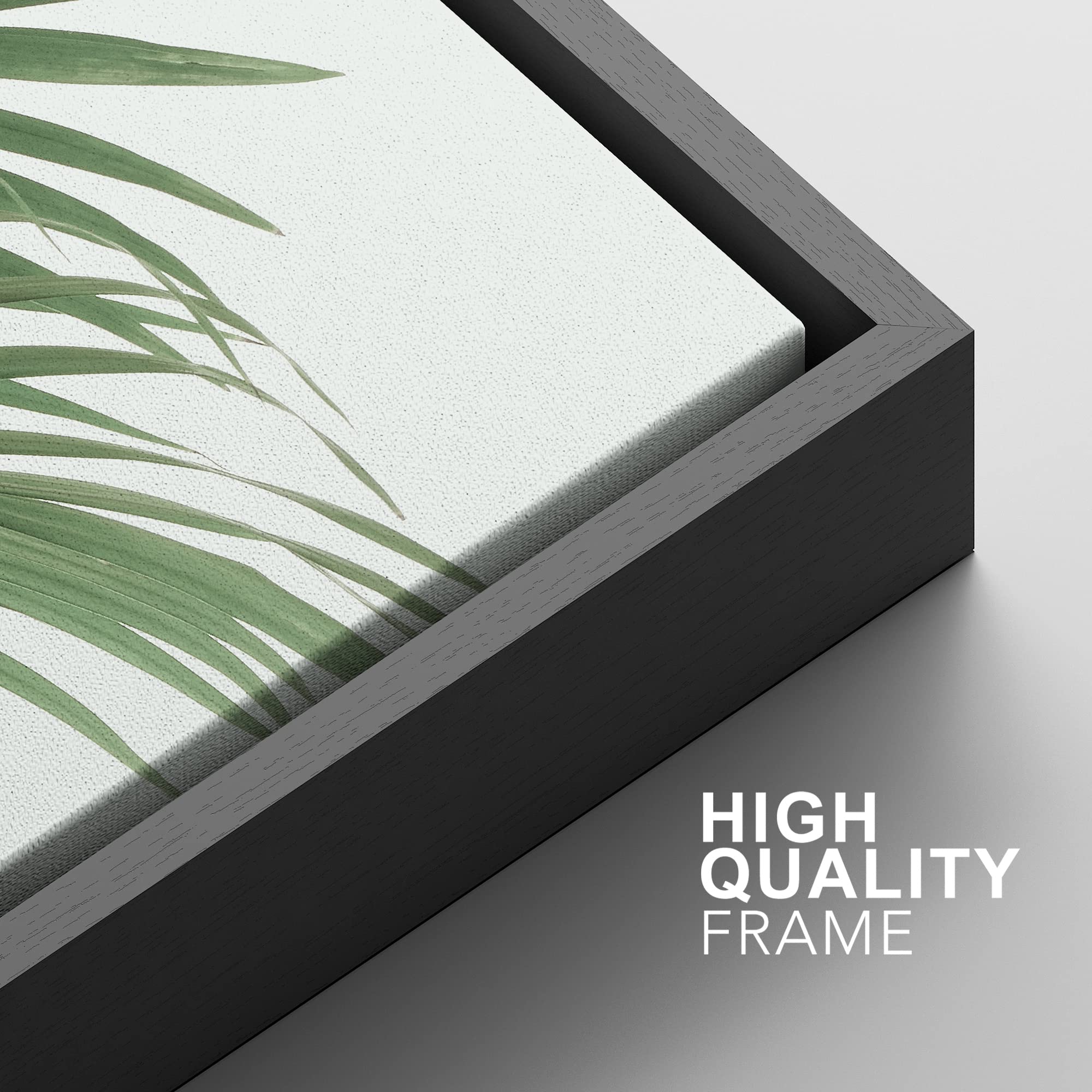 Signford Framed Canvas Print Wall Art Set Rustic Green Retro Tropical Jungle Plants Nature Wilderness Photography Modern Minimal