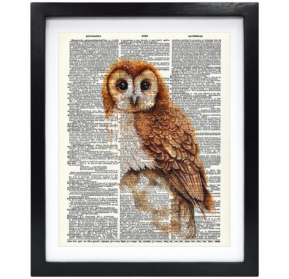Susie Arts 8X10 Unframed Baby Owl Upcycled Vintage Dictionary Art Print Book Art Print Home Decor Funny Art Print Kids Wall Art