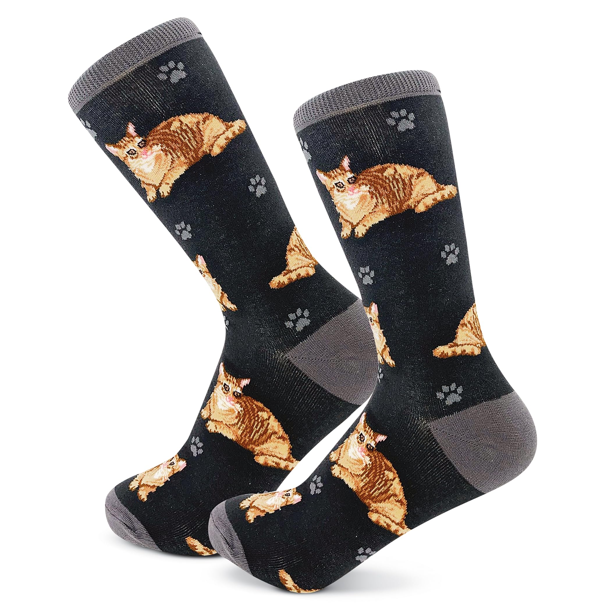 Pet Lover Socks - Fun - All Season - One Size Fits Most - For Women And Men - Cat And Dog Gifts (Orange Tabby Gift - Sock)