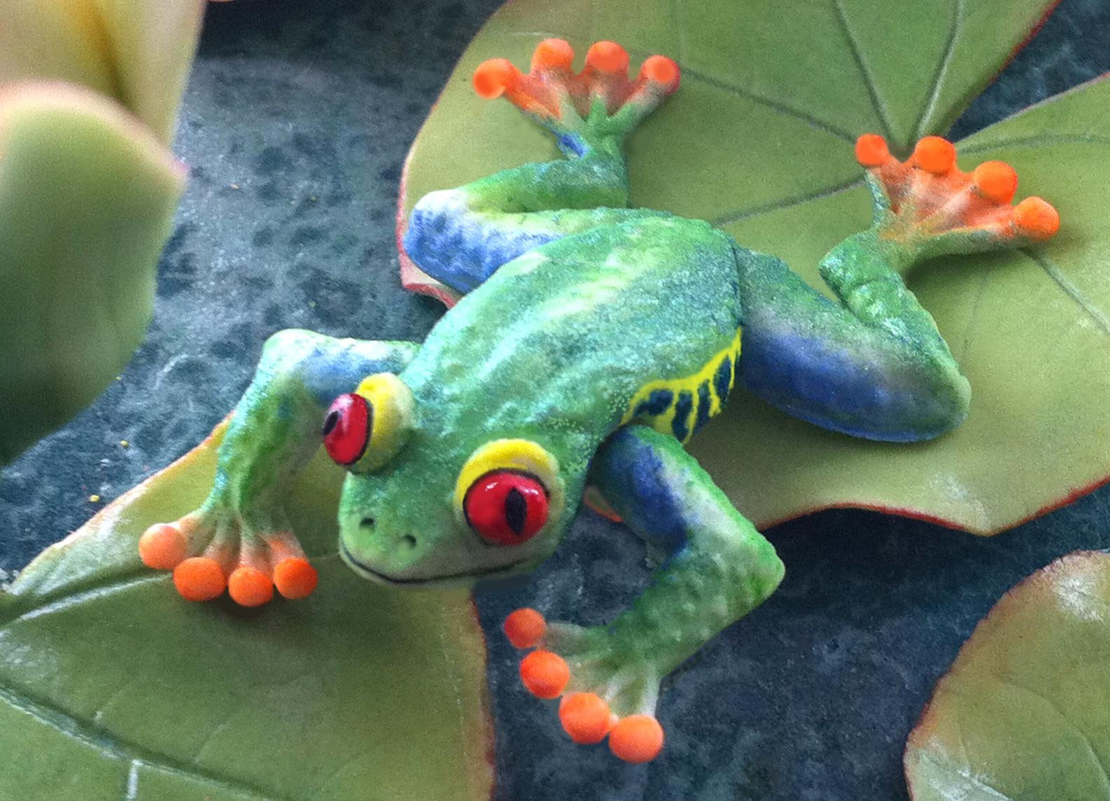 Scott Clark Woolley Red Eyed Tree Frog Mold