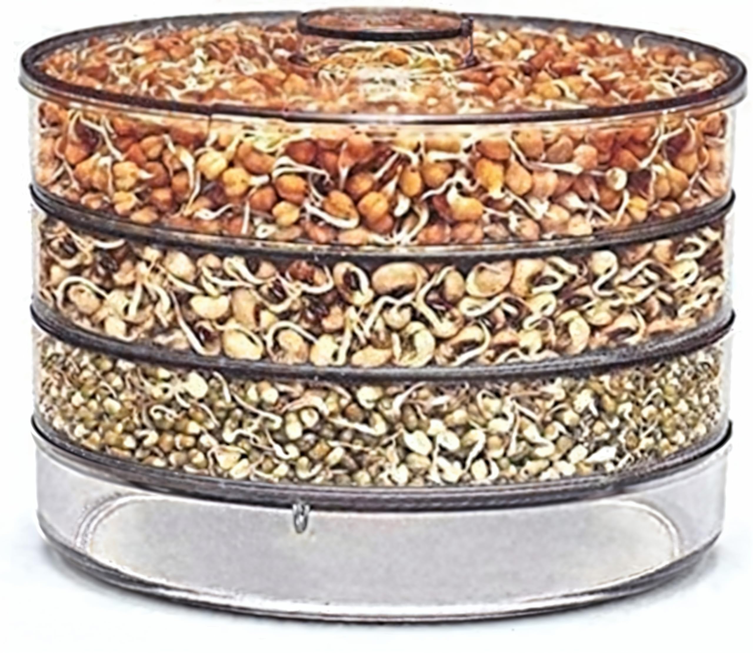 Tekcool Sprout Maker With 4 Compartments For Multi Purpose Use  Plastic Grocery Container Sprouted Grains Seeds Dal Channa Chol