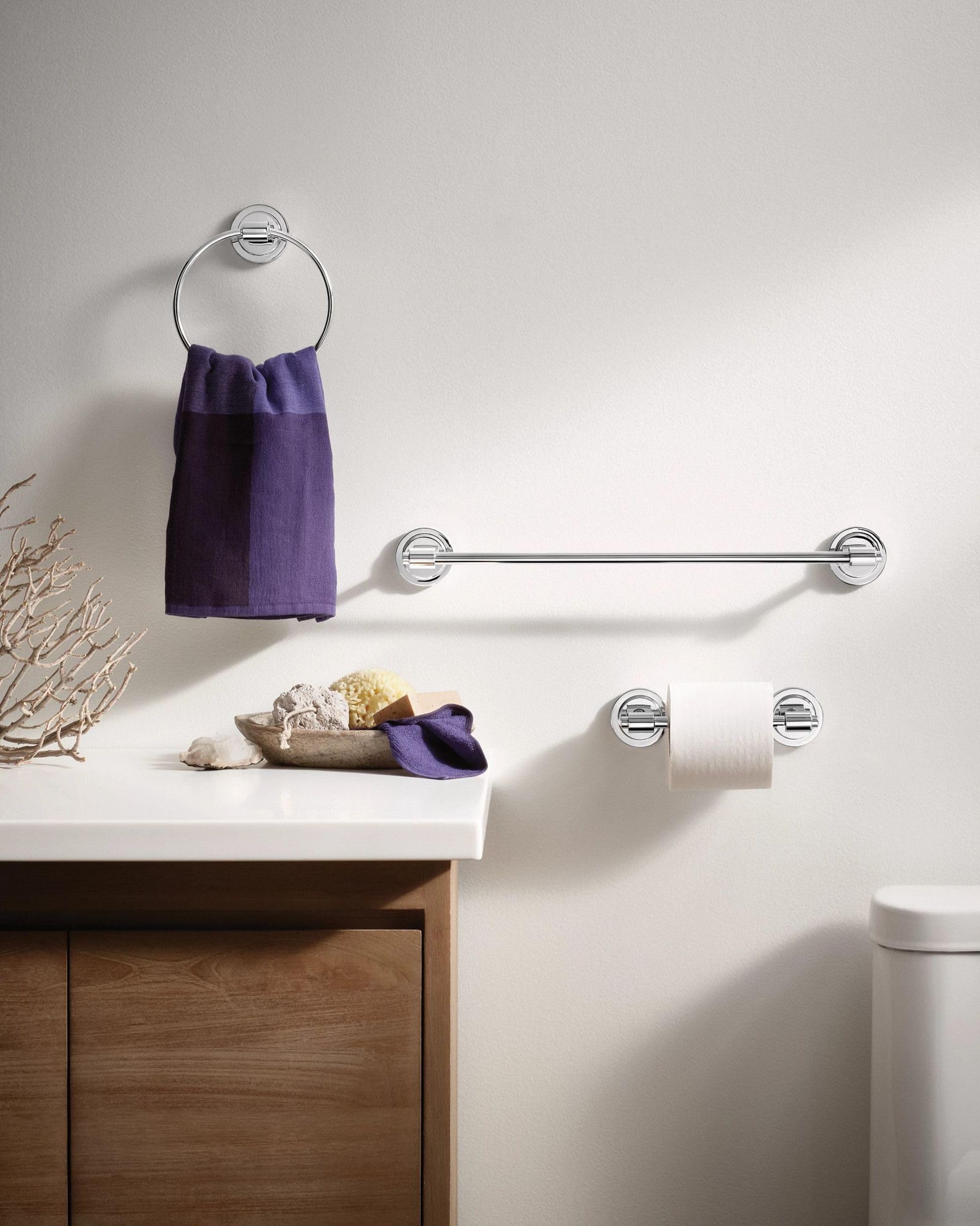 Moen Iso Chrome Surface Mount Toilet Paper Holder
