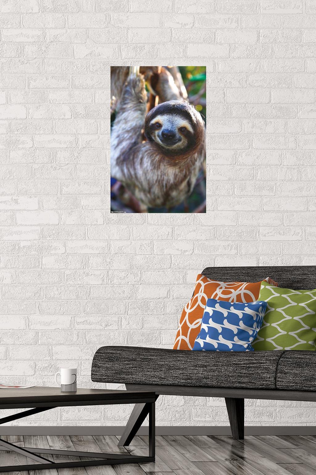 Trends International Sloth - Smile Wall Poster, 14.725'' X 22.375'', Premium Poster & Mount Bundle