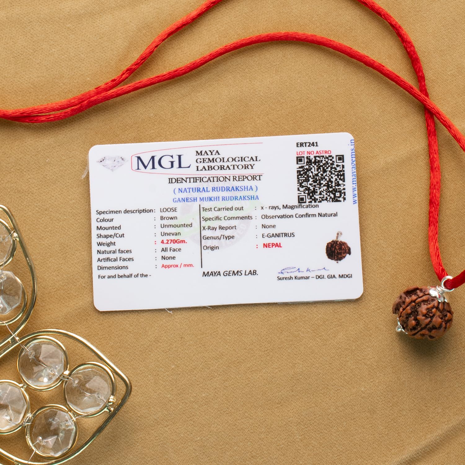 Astrotalk Ganesh Mukhi Rudraksha with Silver-Capping | Remove Obstacles & Unlock Success | Wisdom, Protection & Confidence | Sacred Rudraksha Bead for Women & Men