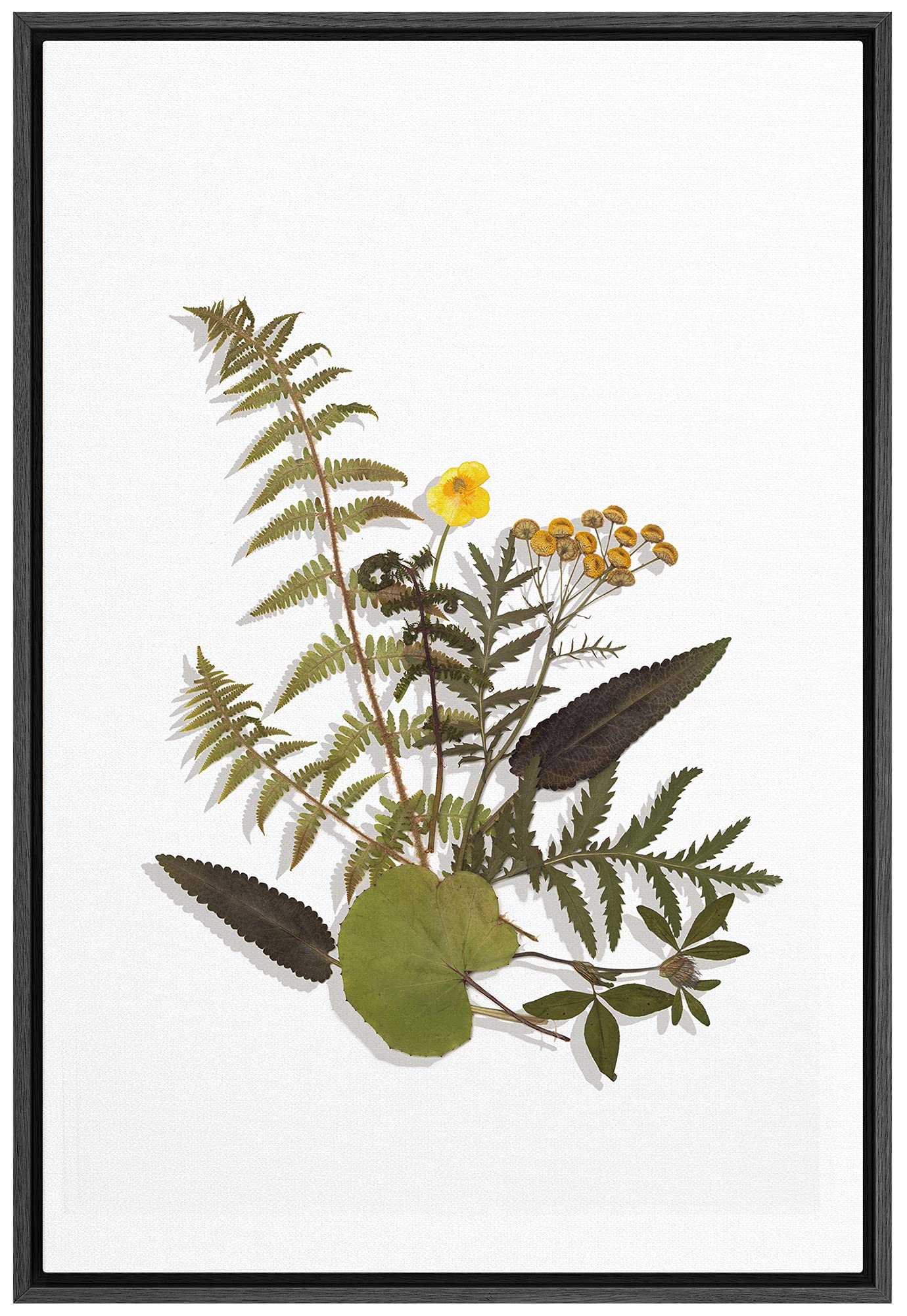 Signford Canvas Print Wall Art Fern Leaves & Yellow Poppies Floral Plants Illustrations Modern Art Rustic Group Colorful Cool Fo