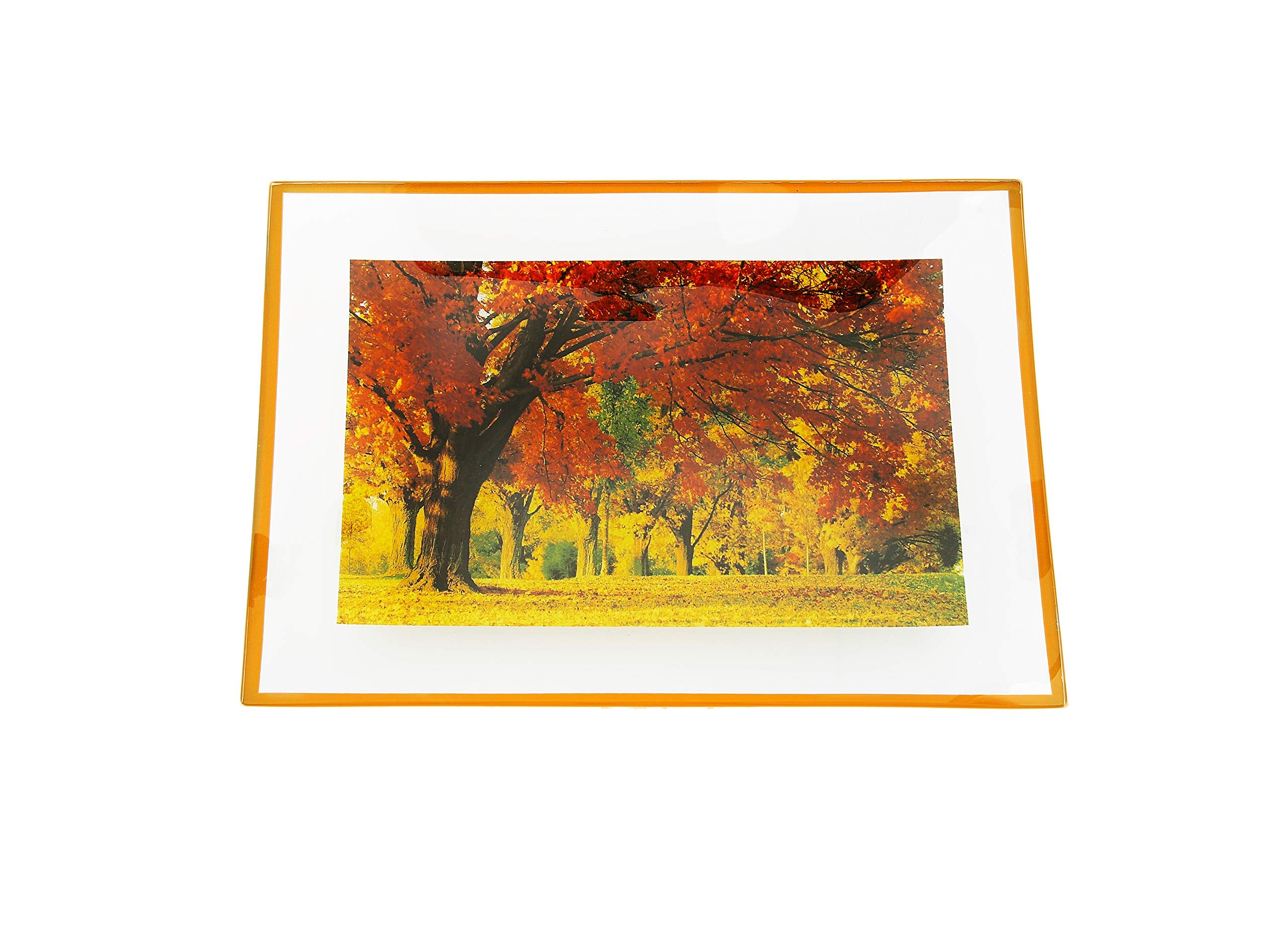 Gac Unique Landscape Design Rectangular Tempered Glass Serving Tray On Glass Ball Legs - 8X12 Inch - Break Resistant - Oven, Mic