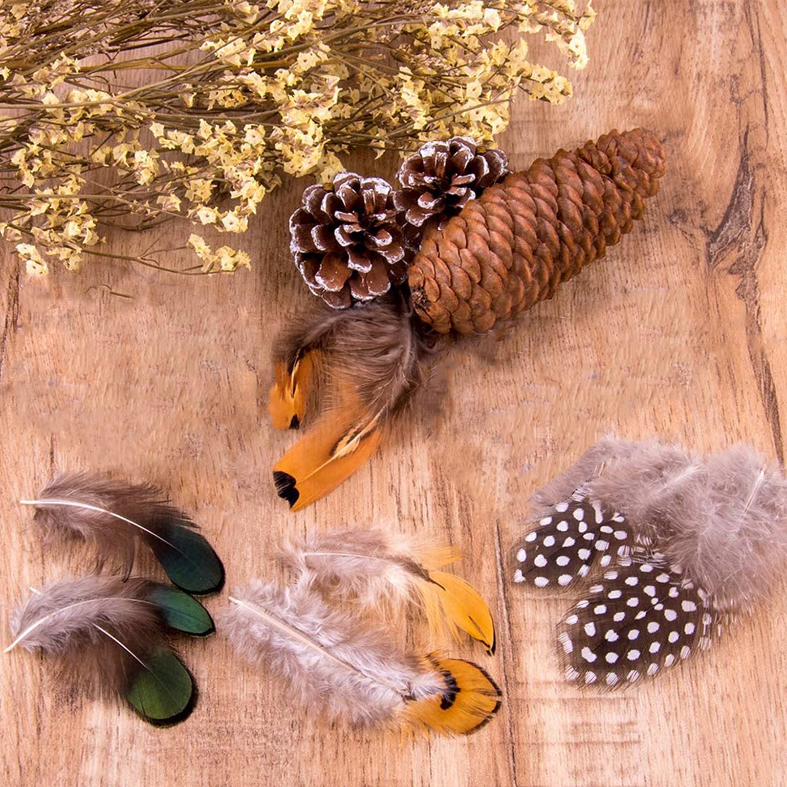 300Pcs 10 Style Natural Feathers Assorted Mixed Feathers For Dream Catcher Crafts Decoration A (10 Styles300 Pcs)