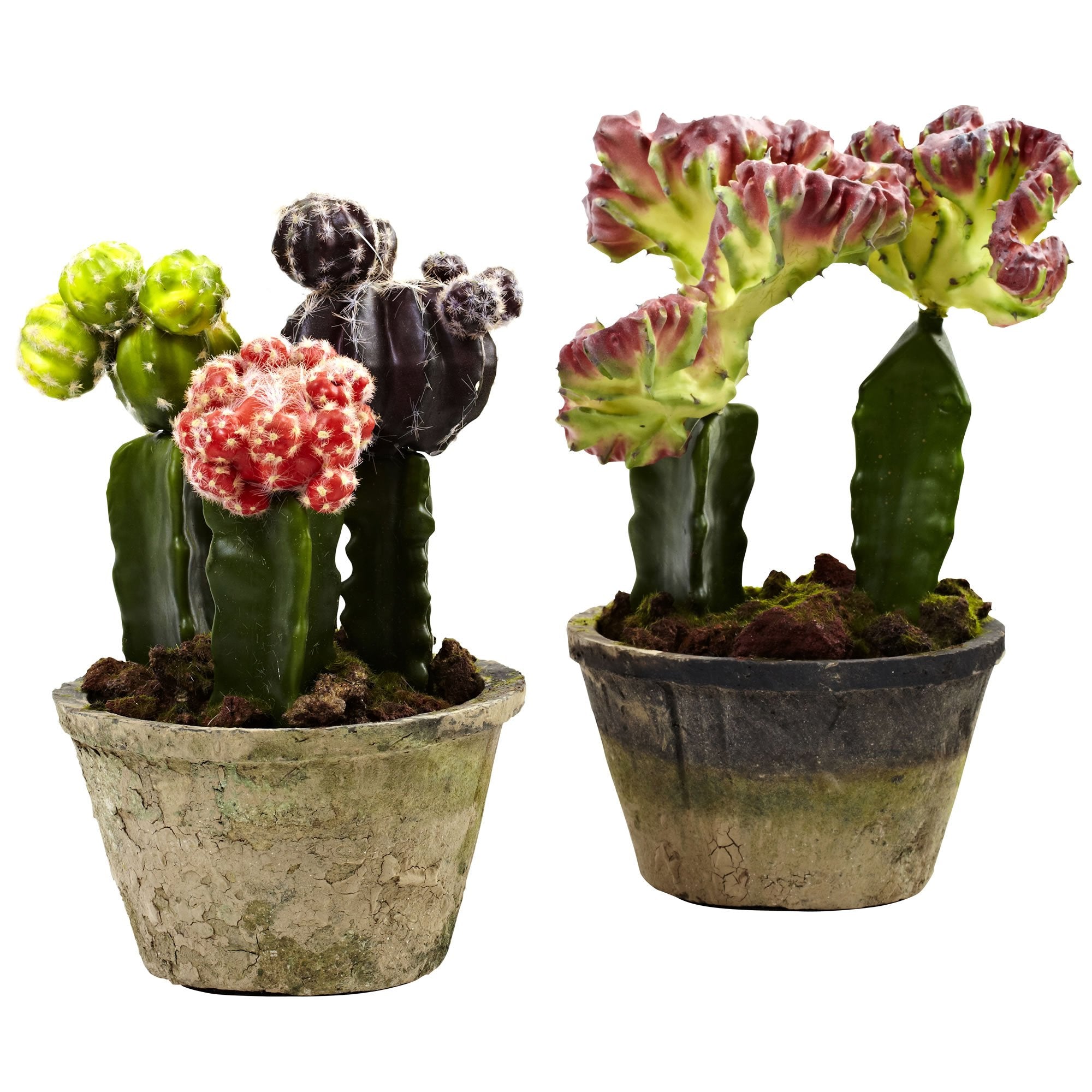 Nearly Natural 4843-S2 Colorful Cactus Gardens, Set of 2