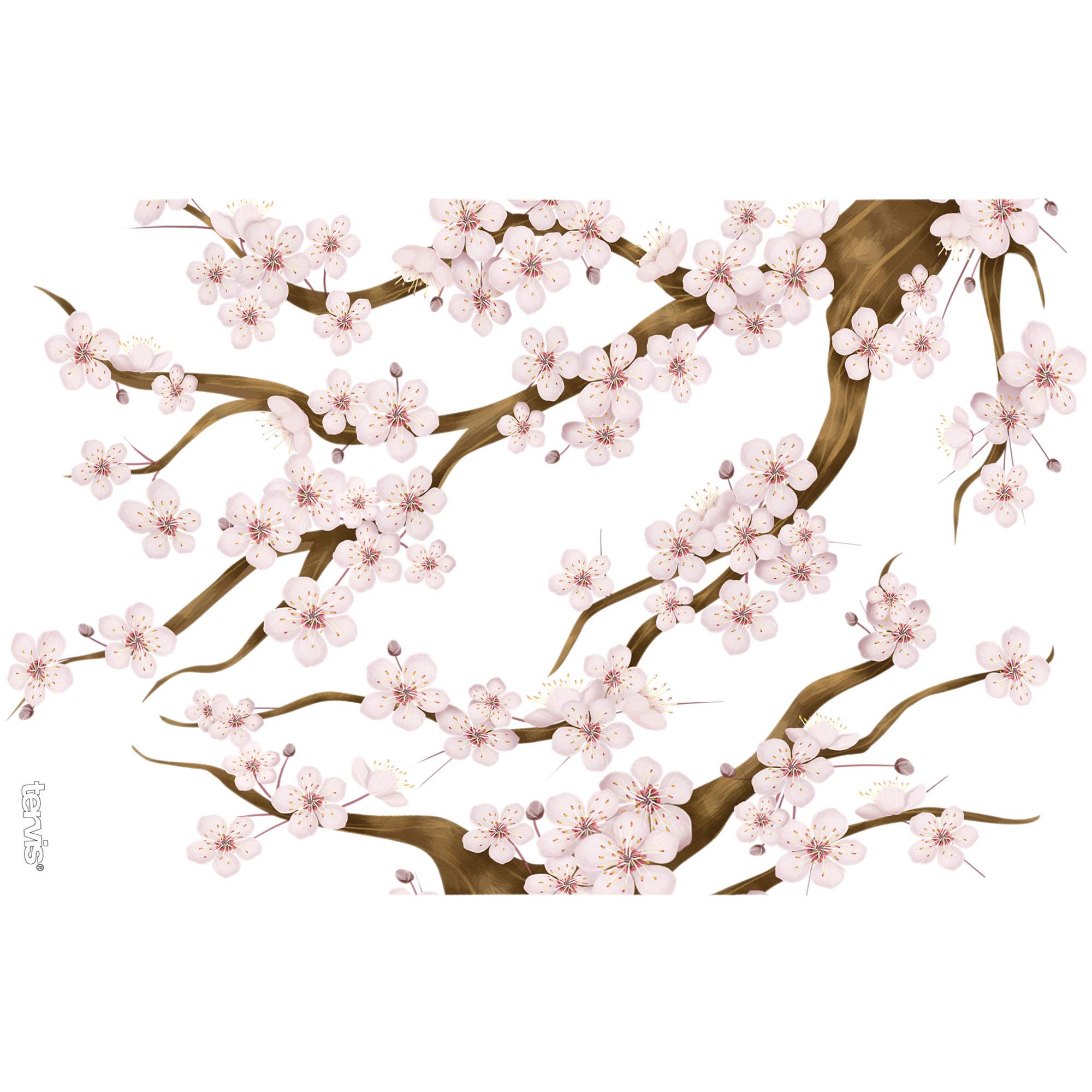 Tervis 1041201 Cherry Blossom Tumbler With Wrap And Brown Lid 16Oz, Clear