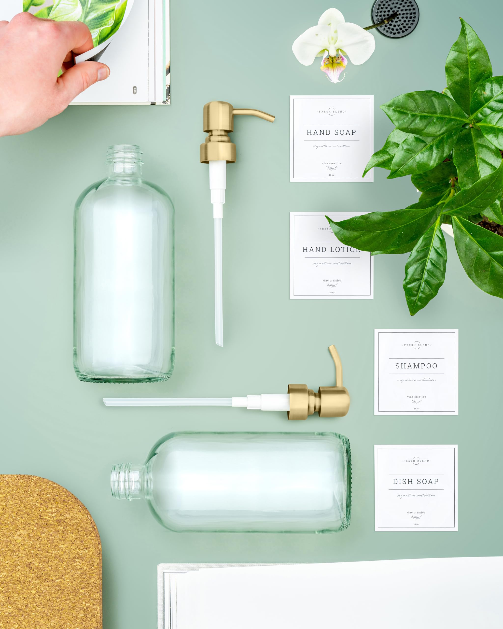 Vine Creations Clear Glass Soap Dispenser, 2 Pack Kitchen Soap Dispenser Set With Stainless Steel Pump, 16 Oz Hand Soap Dispense