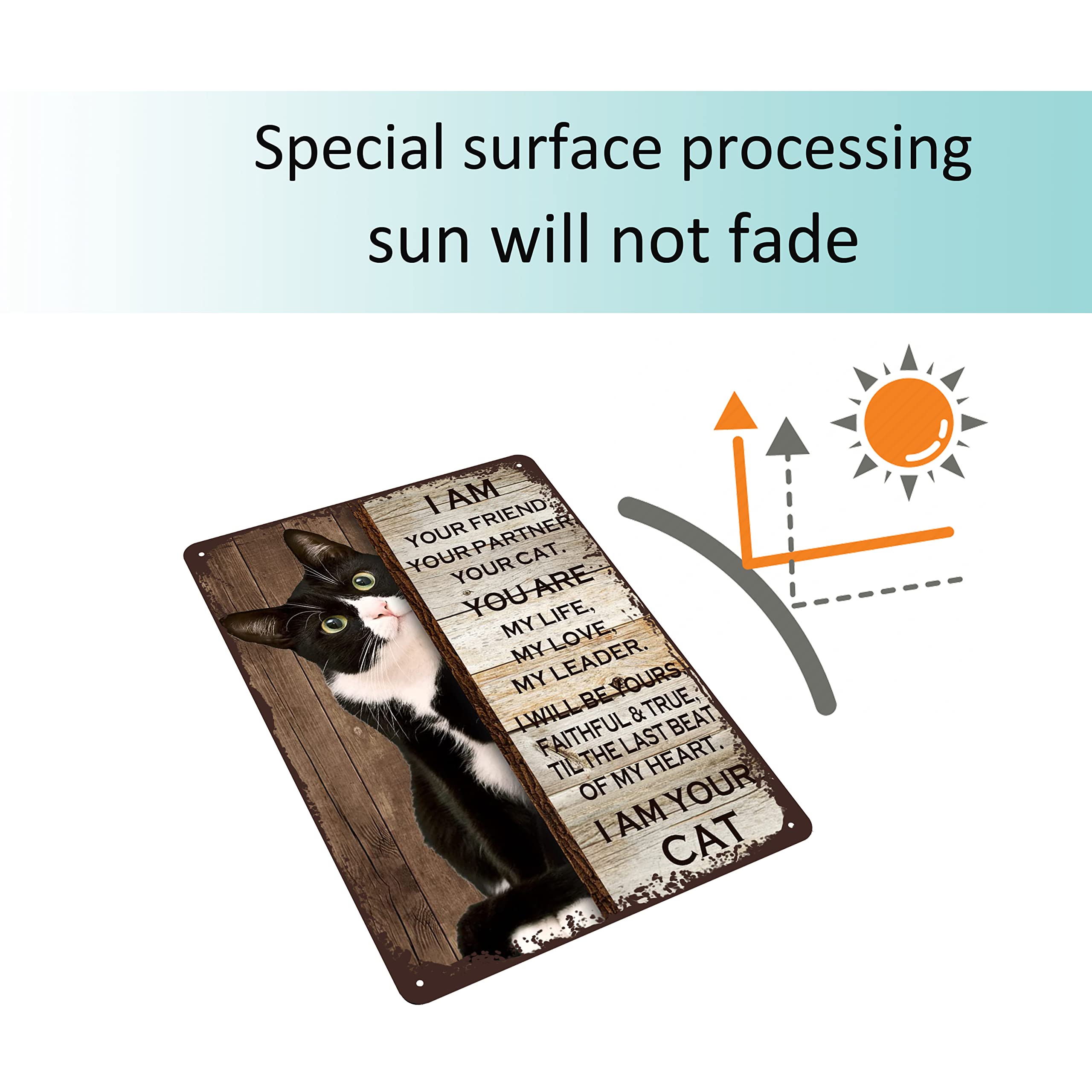 Gocolt Retro Black Cat Sign ''I Am Your Friend Your Companion Your Cat You Are My Life'' Cat Wall Art Decoration, Cute Cat Poste