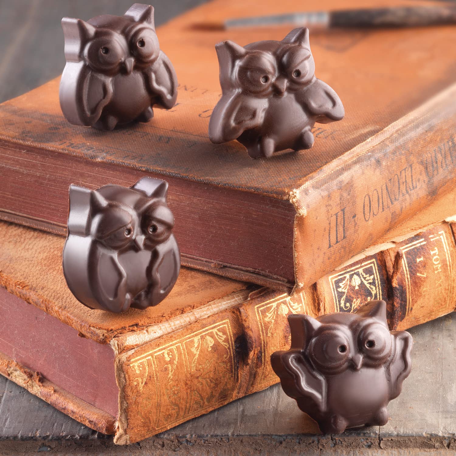 Silikomart Platinum Easychoc Chocolate Owl Mold, Brown