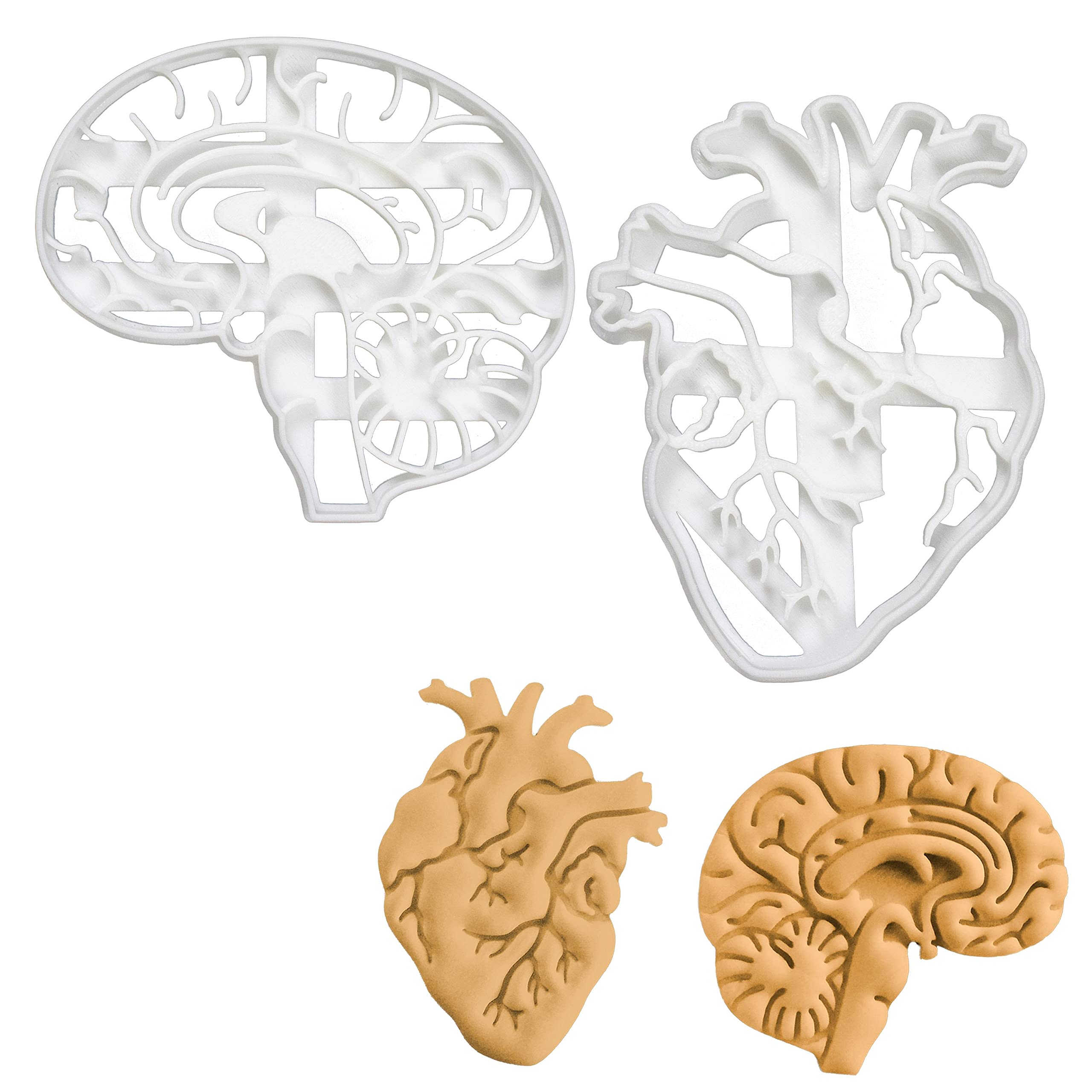 Set Of 2 Anatomical Heart And Brain Cookie Cutters (Designs: Anatomical Brain And Heart), 2 Pieces - Bakerlogy