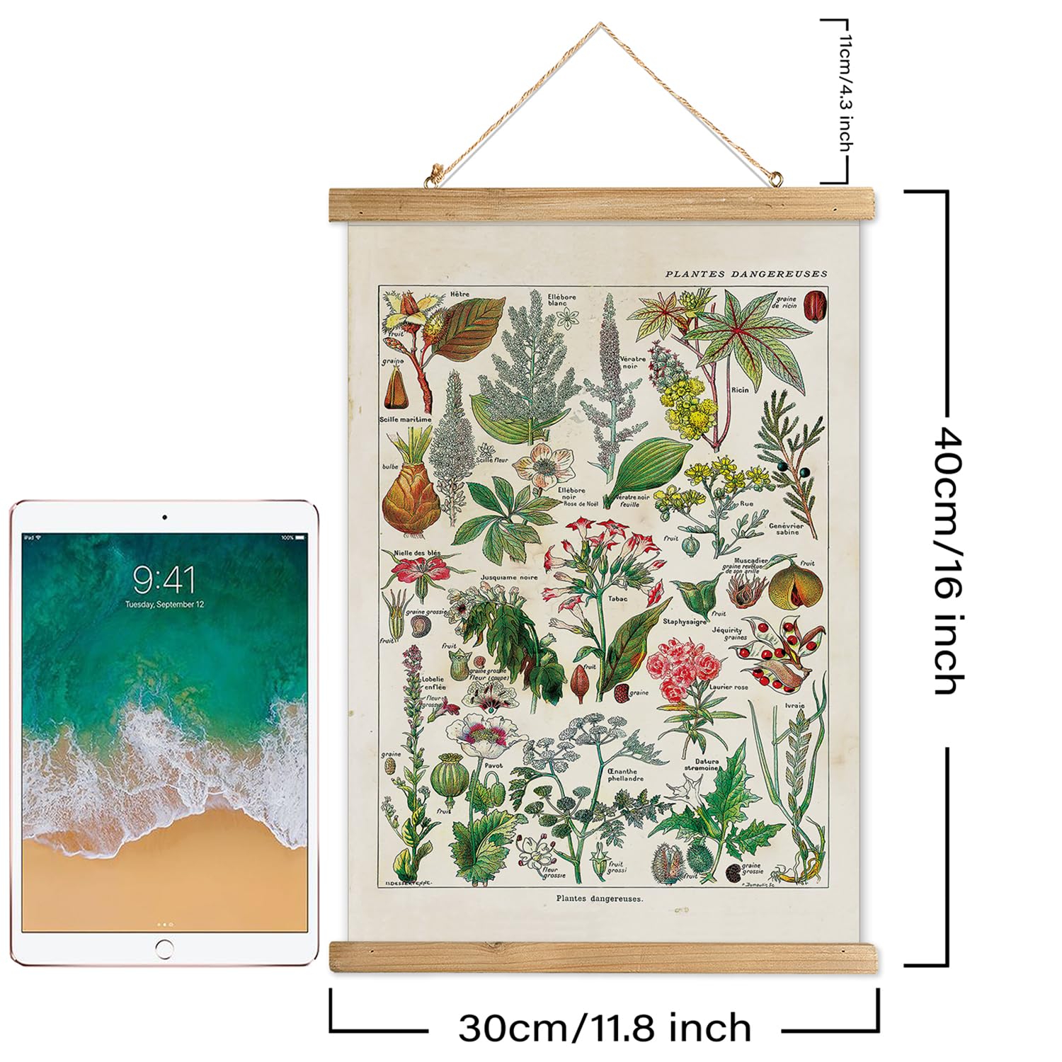 Xiaoaika Vintage Botany Poster With Wooden Frame, Antique Poisonous Plants Chart - Botanical Educational Art With Dangerous Spec