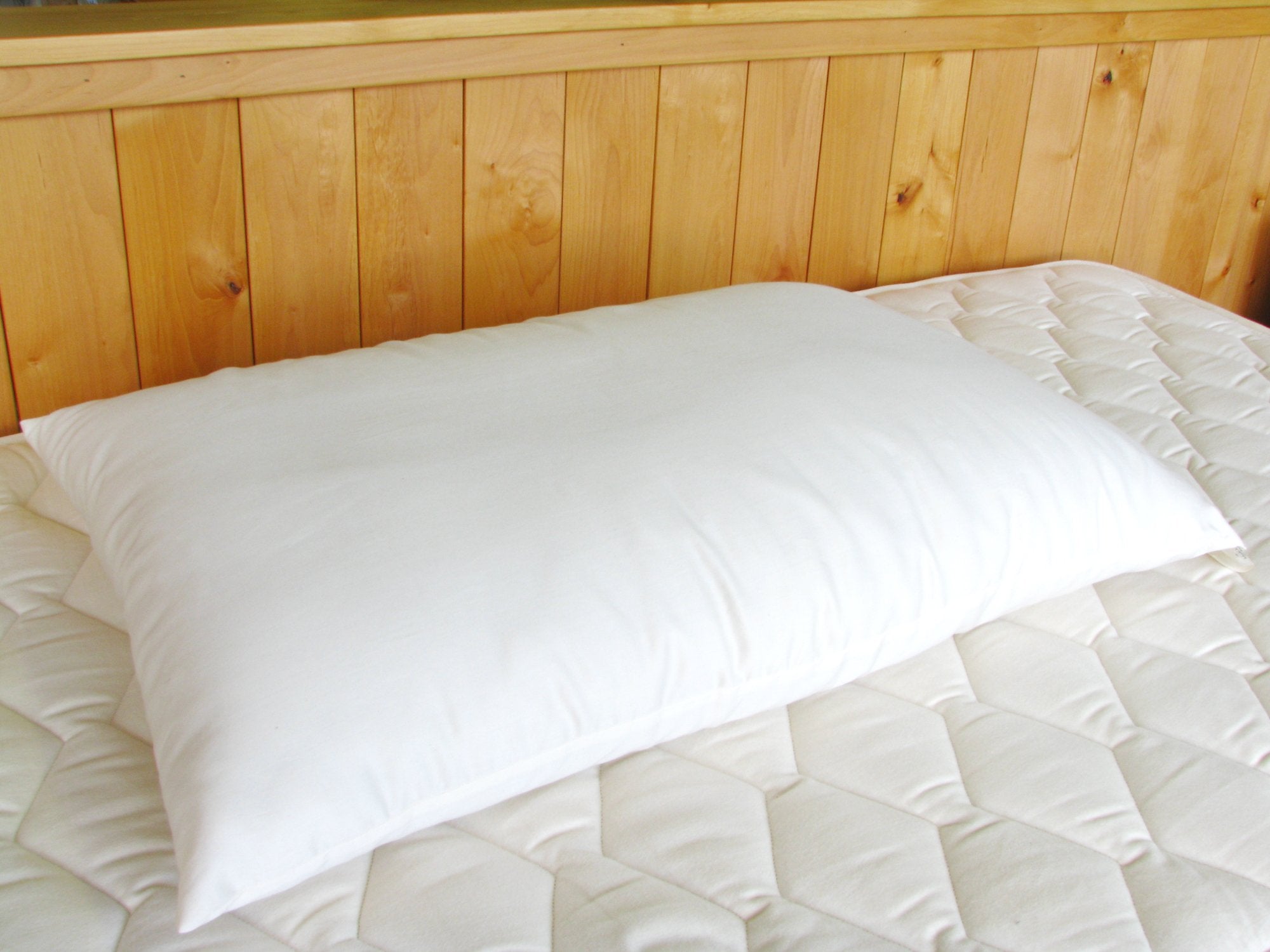Holy Lamb Organics Wool Bed Pillow - Queen - Medium Fill