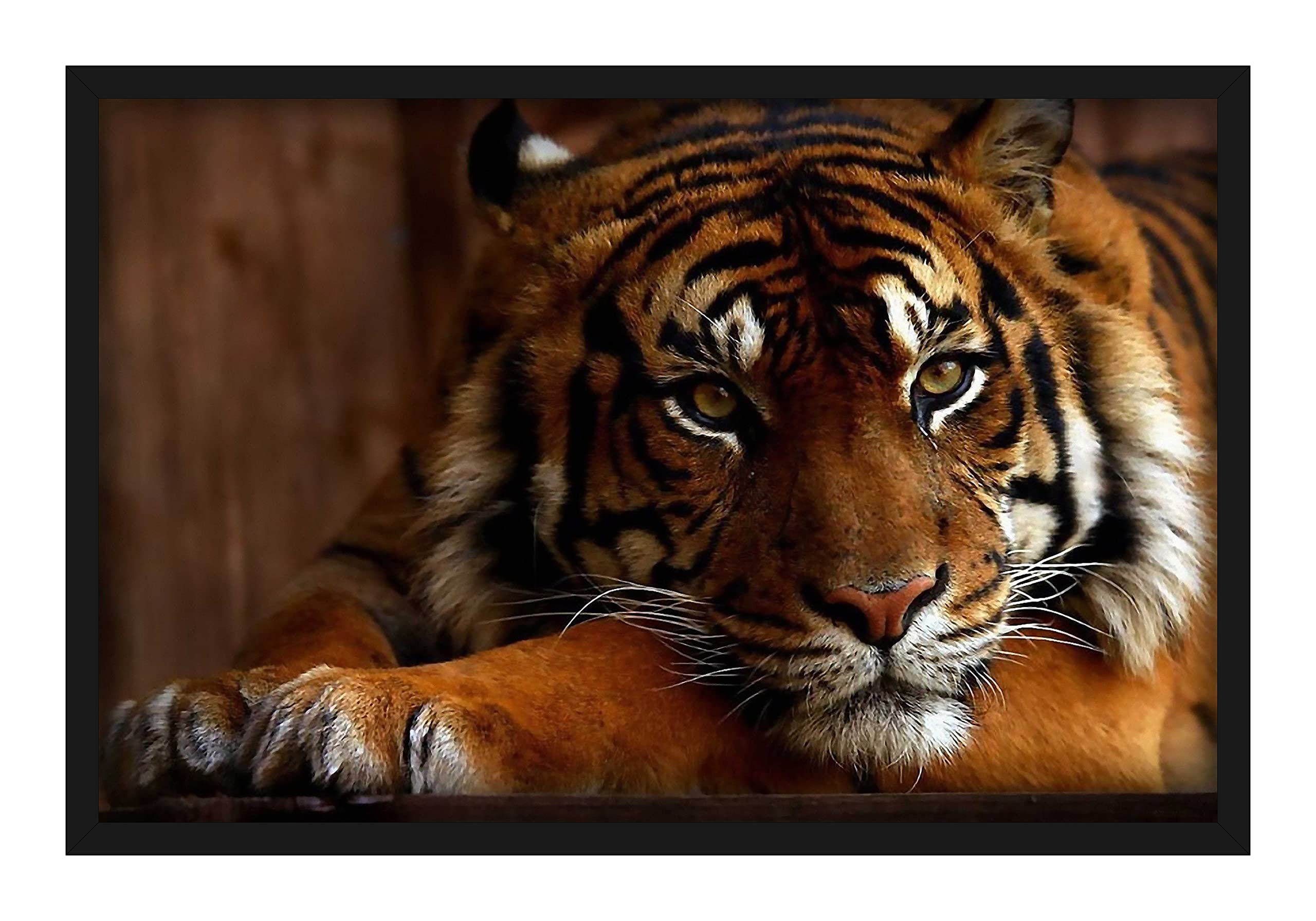 Hk Prints Tiger Painting With Frame 14X20 Inch