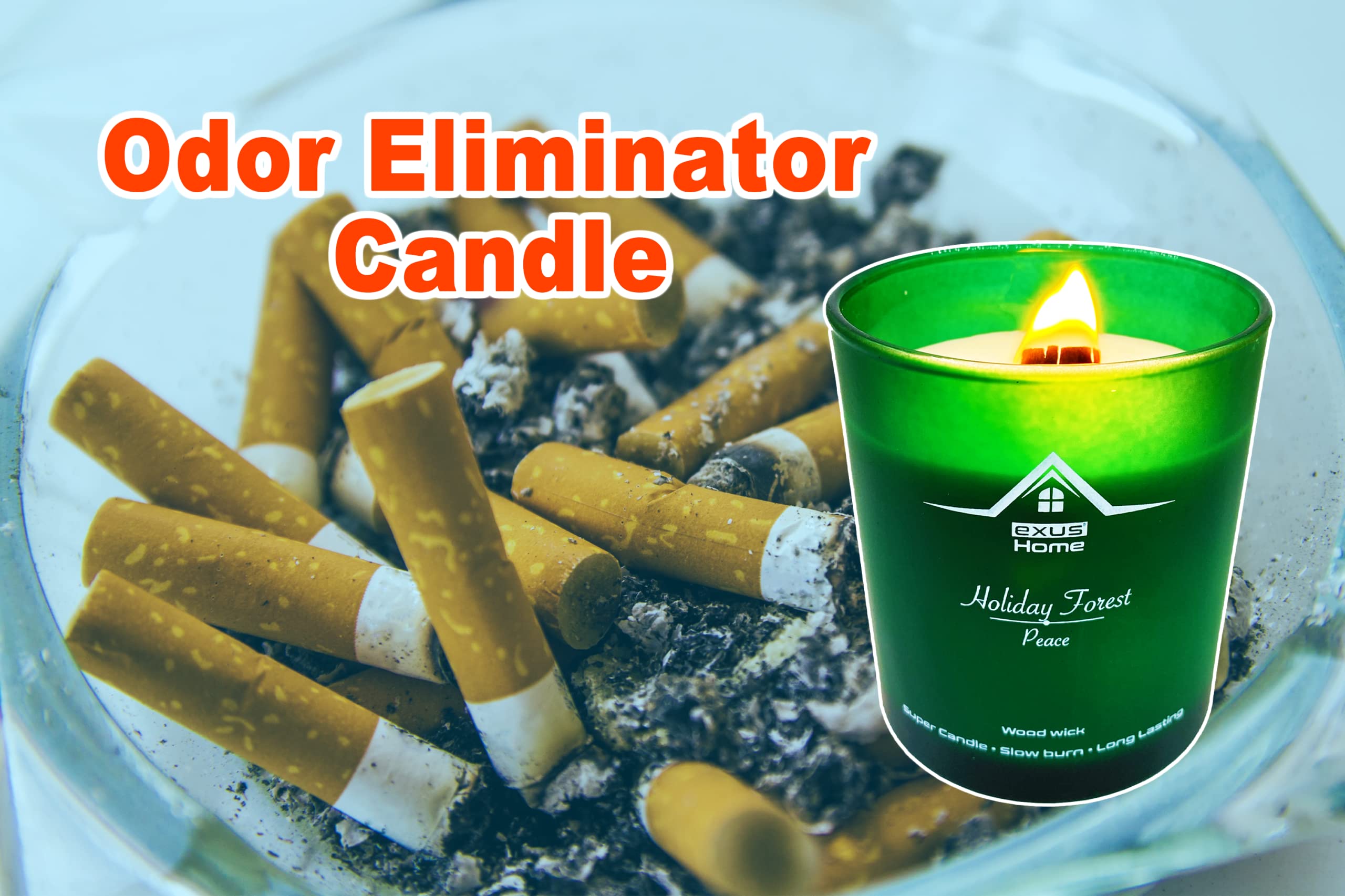 Exus Hand Crafted, Odor Eliminator, Strong Scent, 100% Natural Soy Wax, Wood Wick, Non-Toxic Candle (Pineapple/Passion)