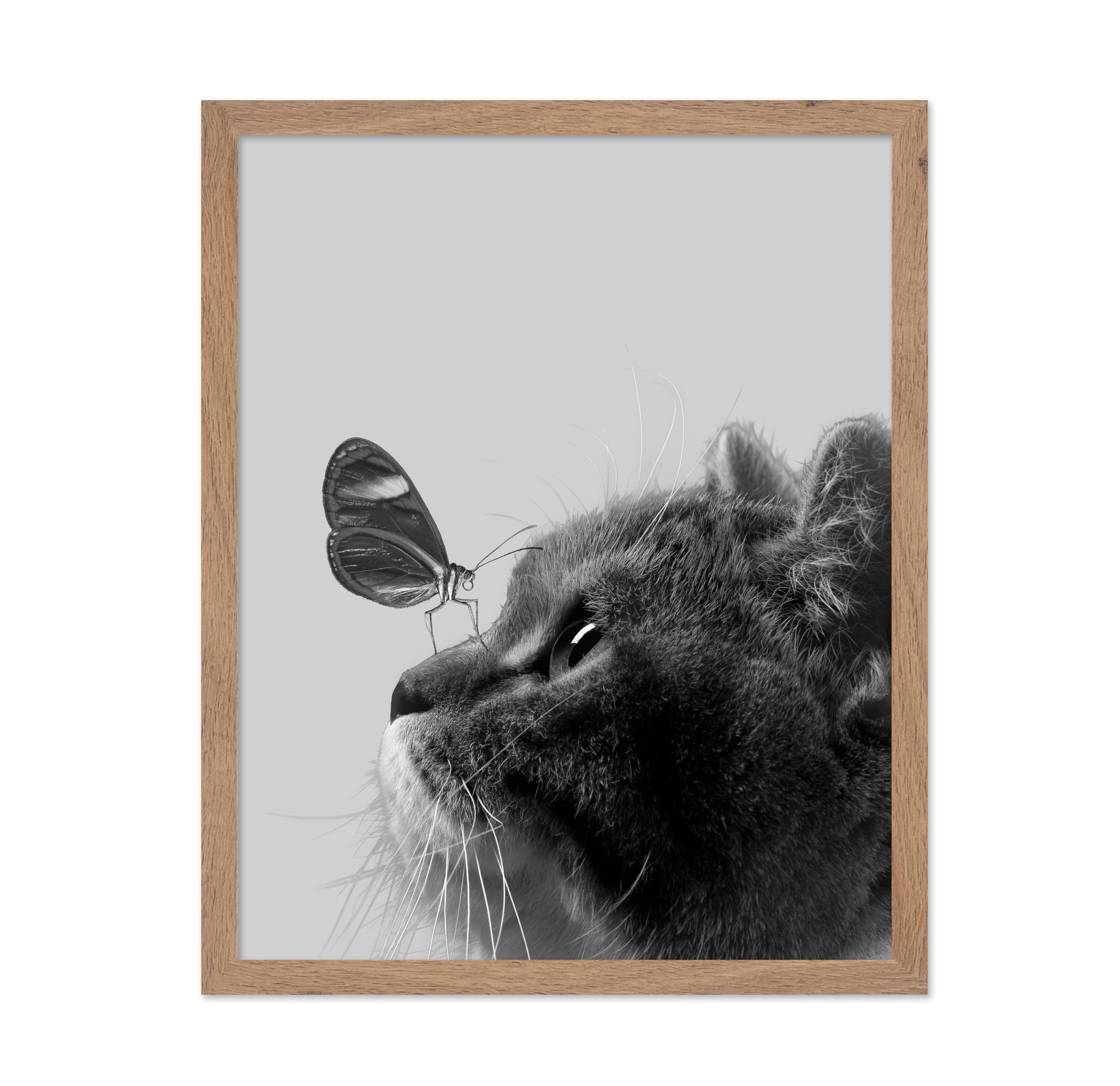 Poster Master Butterfly on Cat Poster - Cat and Butterfly Print - Butterfly Art - Cat Photography Art - Gift for Veterinarian, A