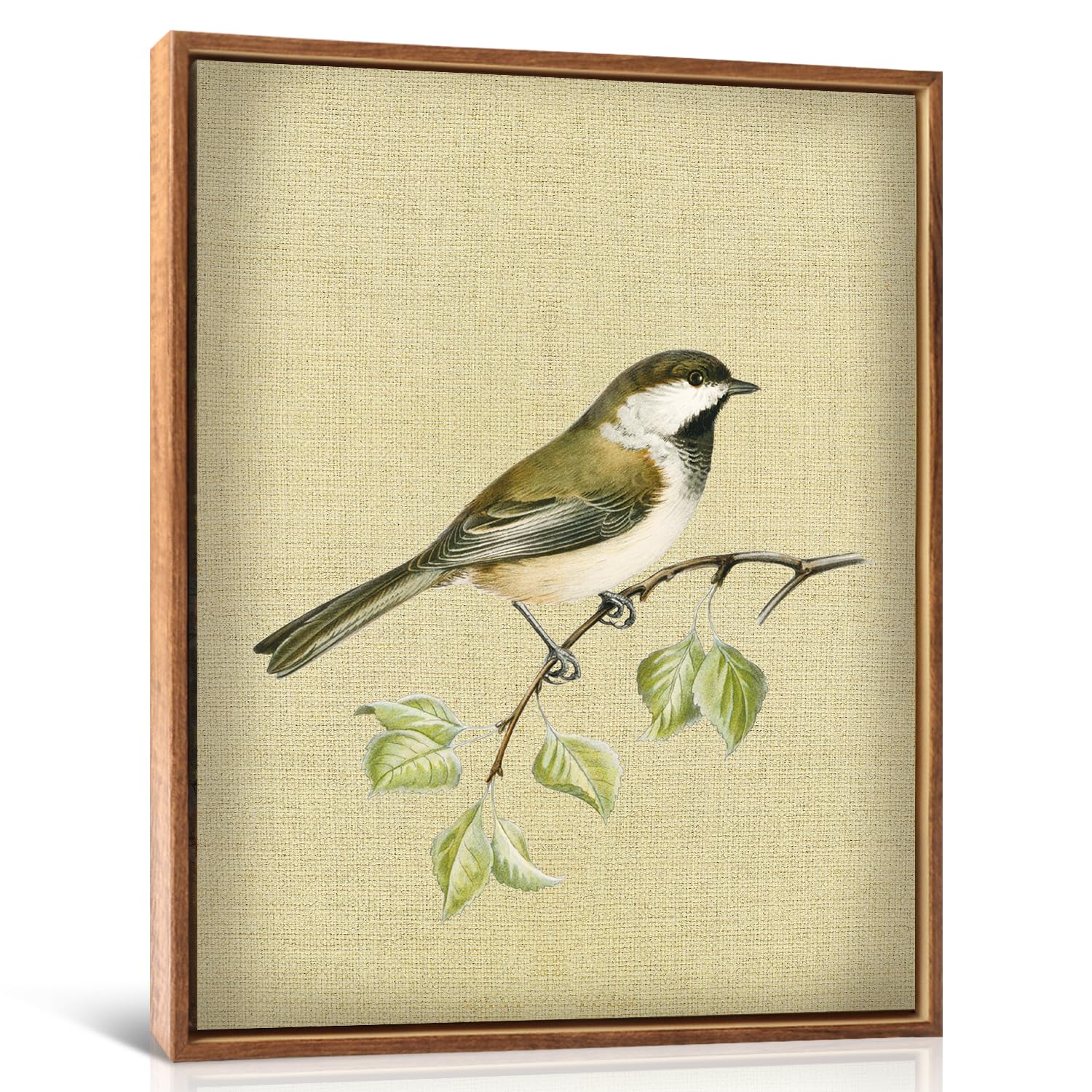 Lhiuem 12X16Vintage Bird Prints Wall Art Leave Hummingbird Canvas Antique Painting Spring Birds Painting Sparrow Bird Vintage Ar