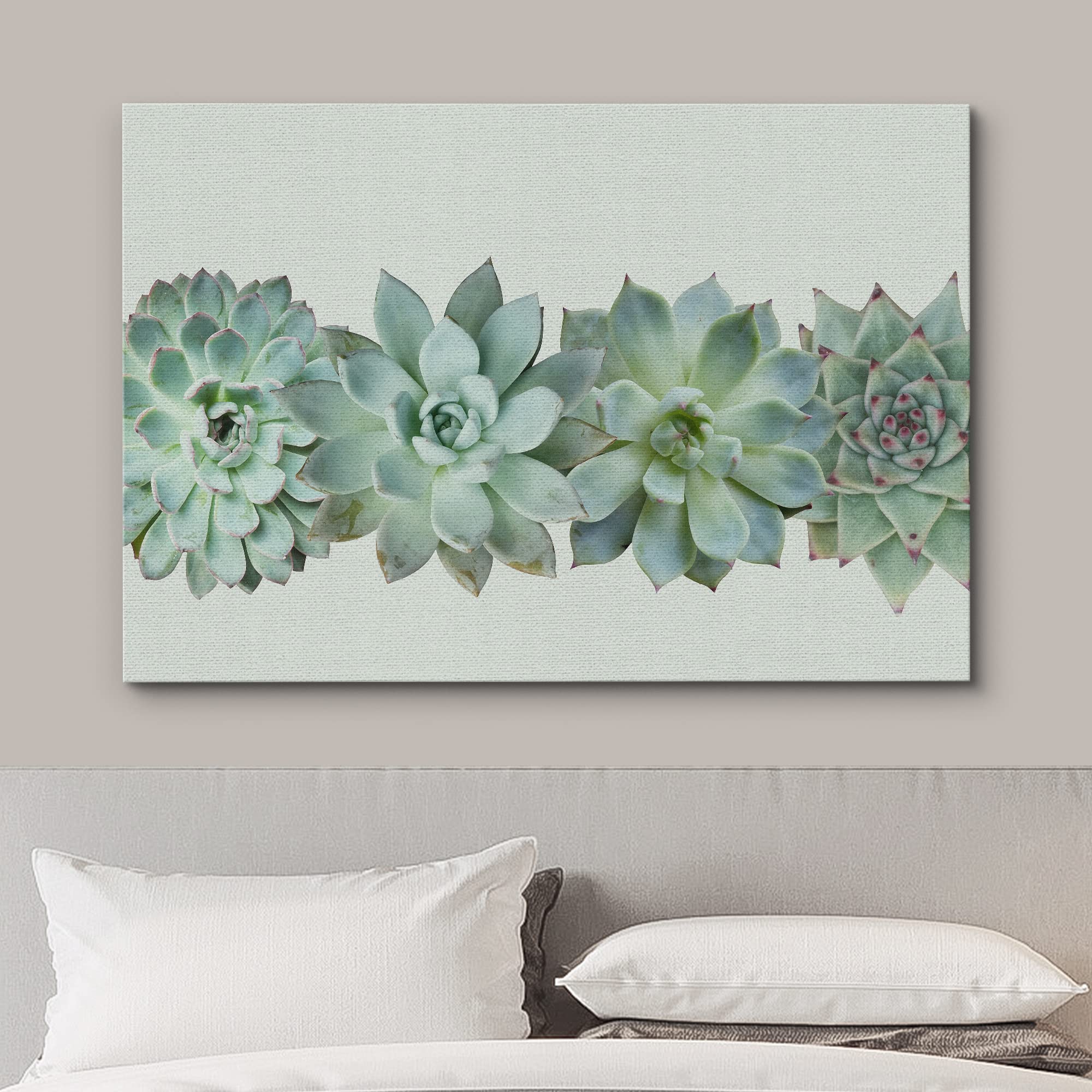 Wall26 Canvas Print Wall Art Variety Of Green Desert Succulents Floral Plants Photography Realism Rustic Closeup Colorful Multic