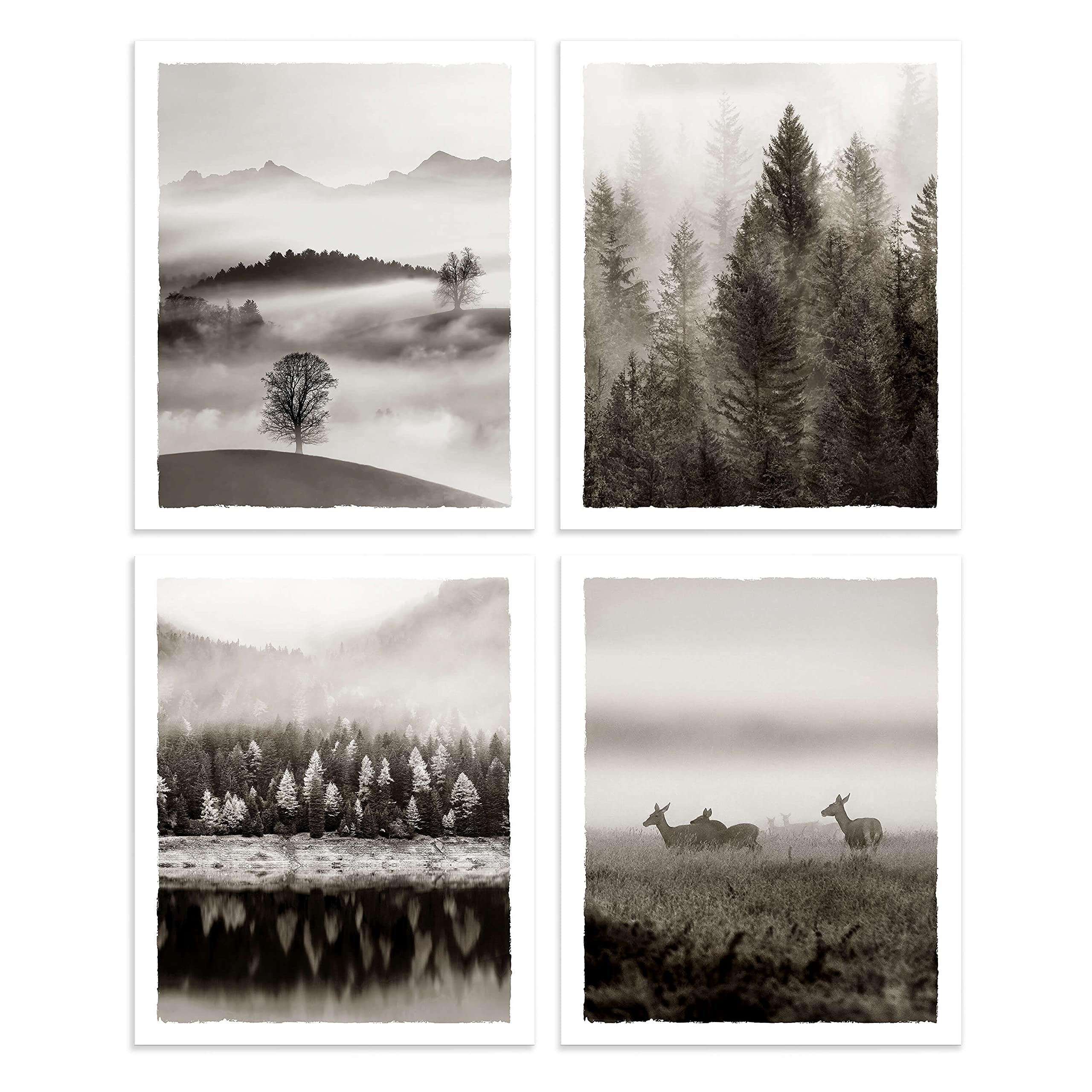 Beach Pictures Coastal Wall Art Set: Unframed Seascape Prints Seabird Bird Artwork For Bedroom Living Room Wall Decor 4 Pieces