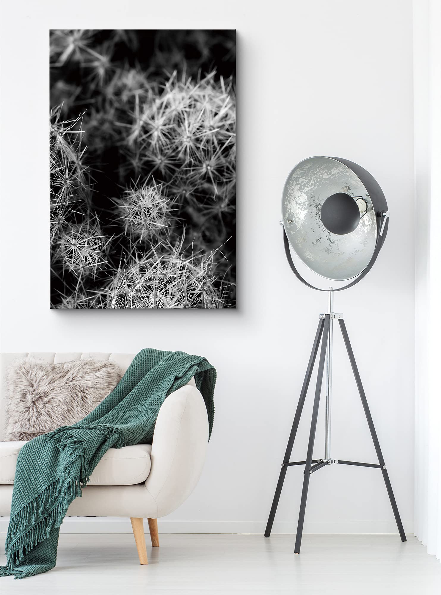 Nwt Canvas Print Wall Art Thimble Cactus Bunch Floral Plants Photography Modern Art Southwest Closeup Dramatic Cool Black And Wh