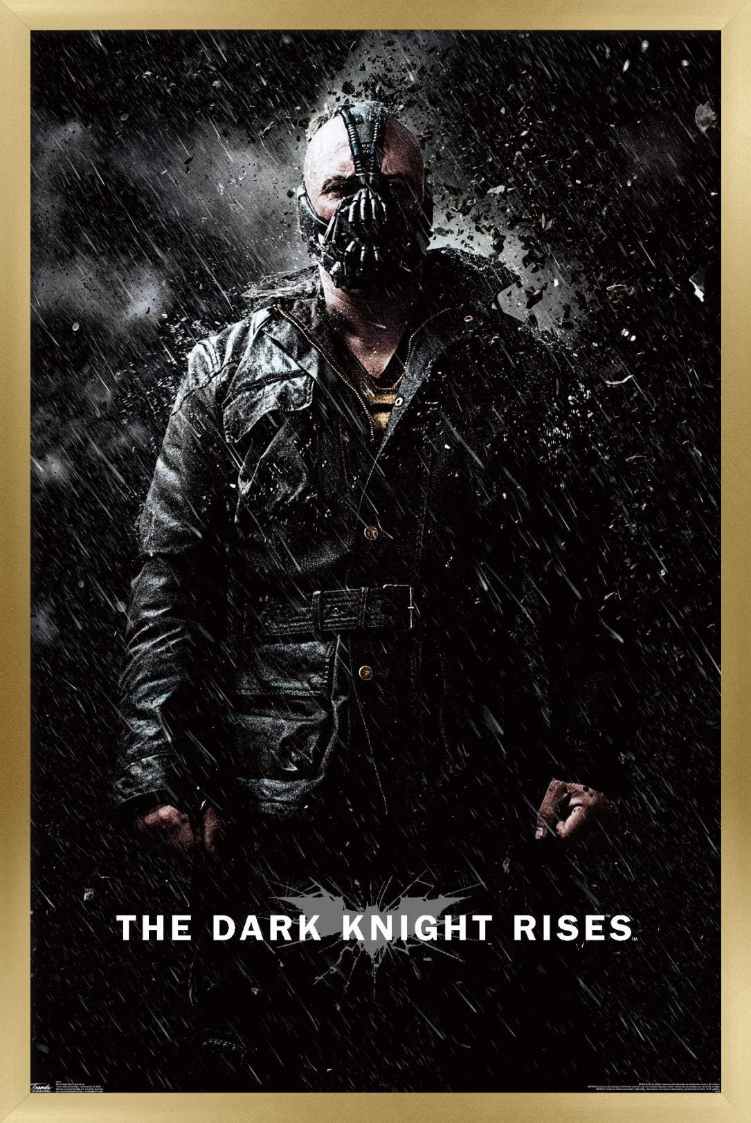 Trends International Dc Comics Movie - The Dark Knight Rises - Bane Rain Wall Poster, 14.725'' X 22.375'', Gold Framed Version