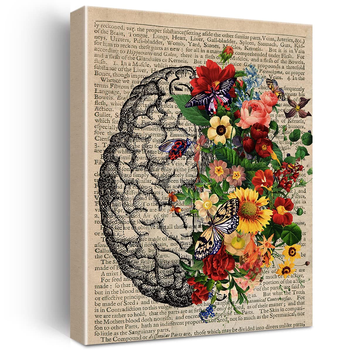 Brain Art Flower Anatomy Canvas Wall Art Human Brain Butterfly Canvas Print Medical Painting Wall Decor Framed Psychology Gift 1