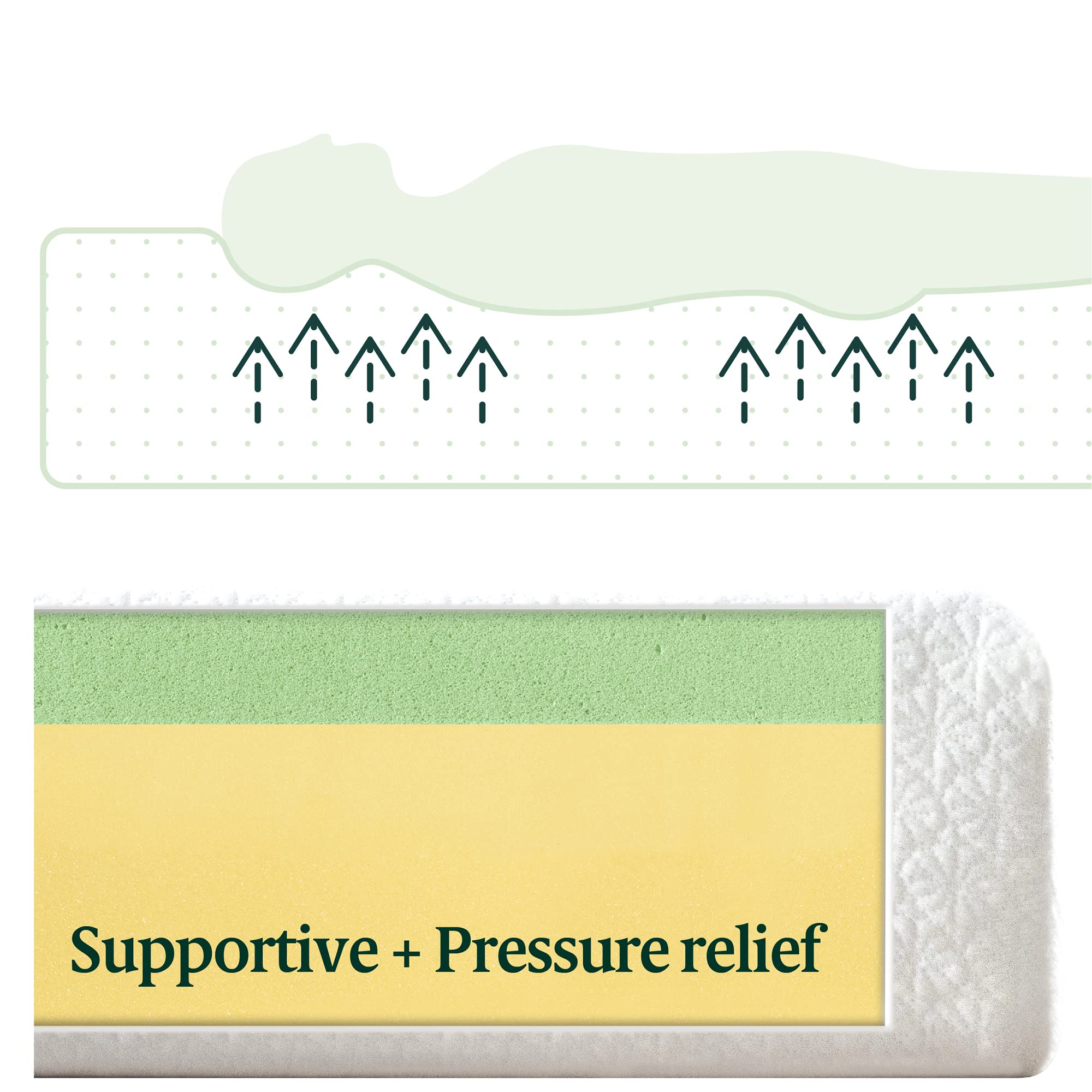 Zinus 8 Inch Green Tea Activfresh(R) Memory Foam Mattress, Twin, Mattress In A Box With Compact Wonderbox Packaging, Certipur-Us