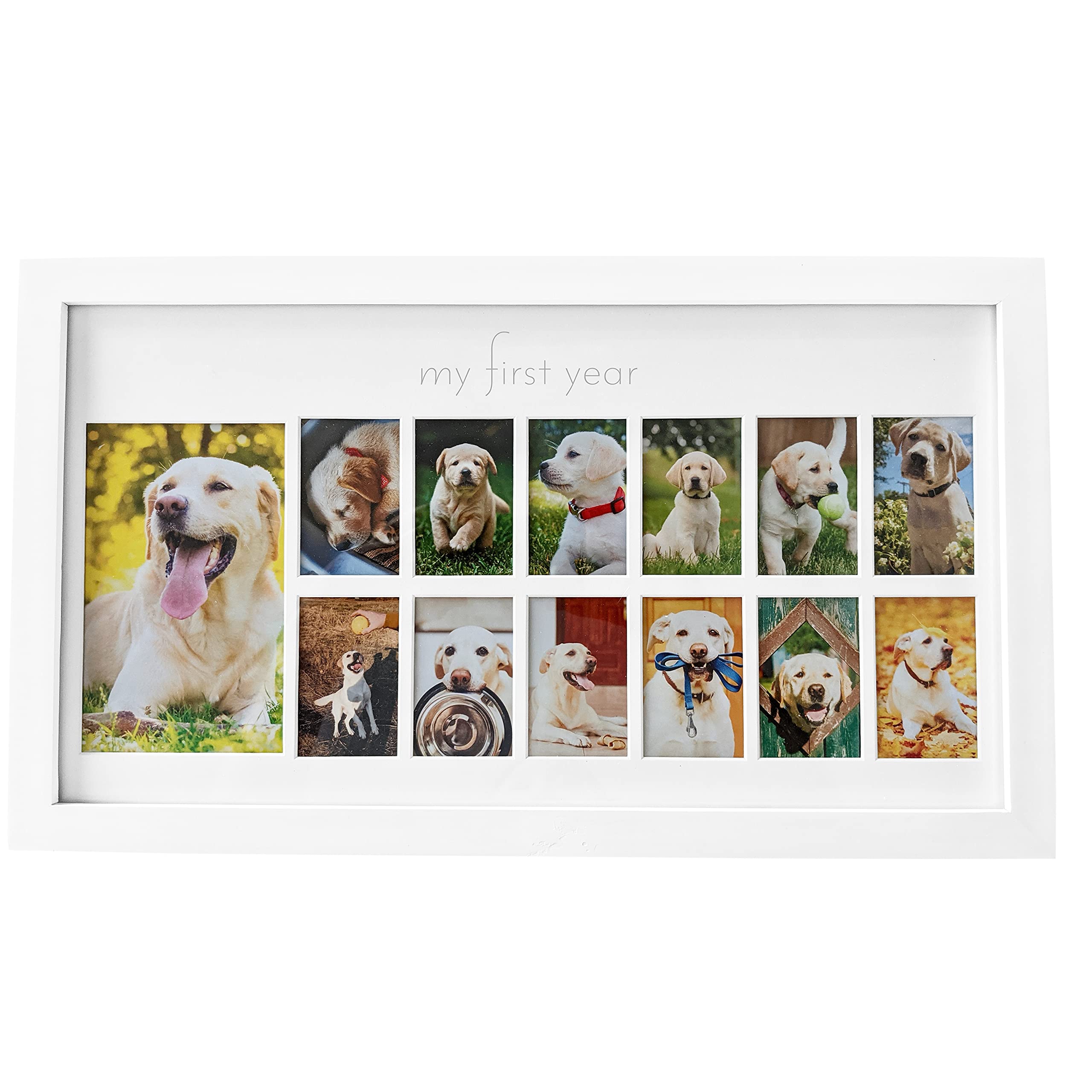 Green Pollywog  My First Year Picture Frame For Dogs  12 Month Photo Frame  White Wood Frame  Fur Baby Frame  Fur Baby Milestone