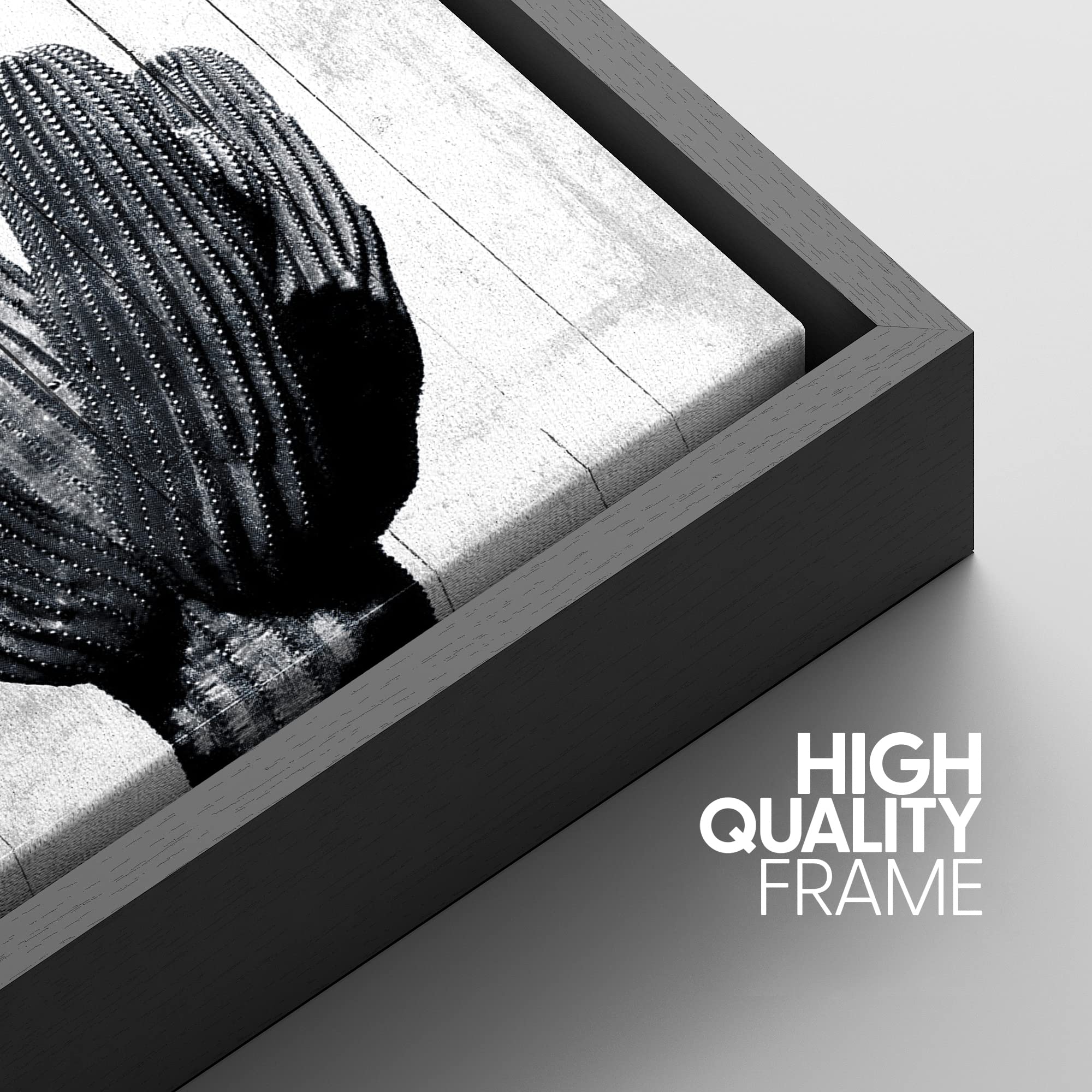 NWT Framed Canvas Print Wall Art Detailed Desert Cactus on Wood Panels Floral Plants Illustrations Modern Art Rustic Dark Black and White for Living Room  Bedroom  Office - 16''x24'' Black