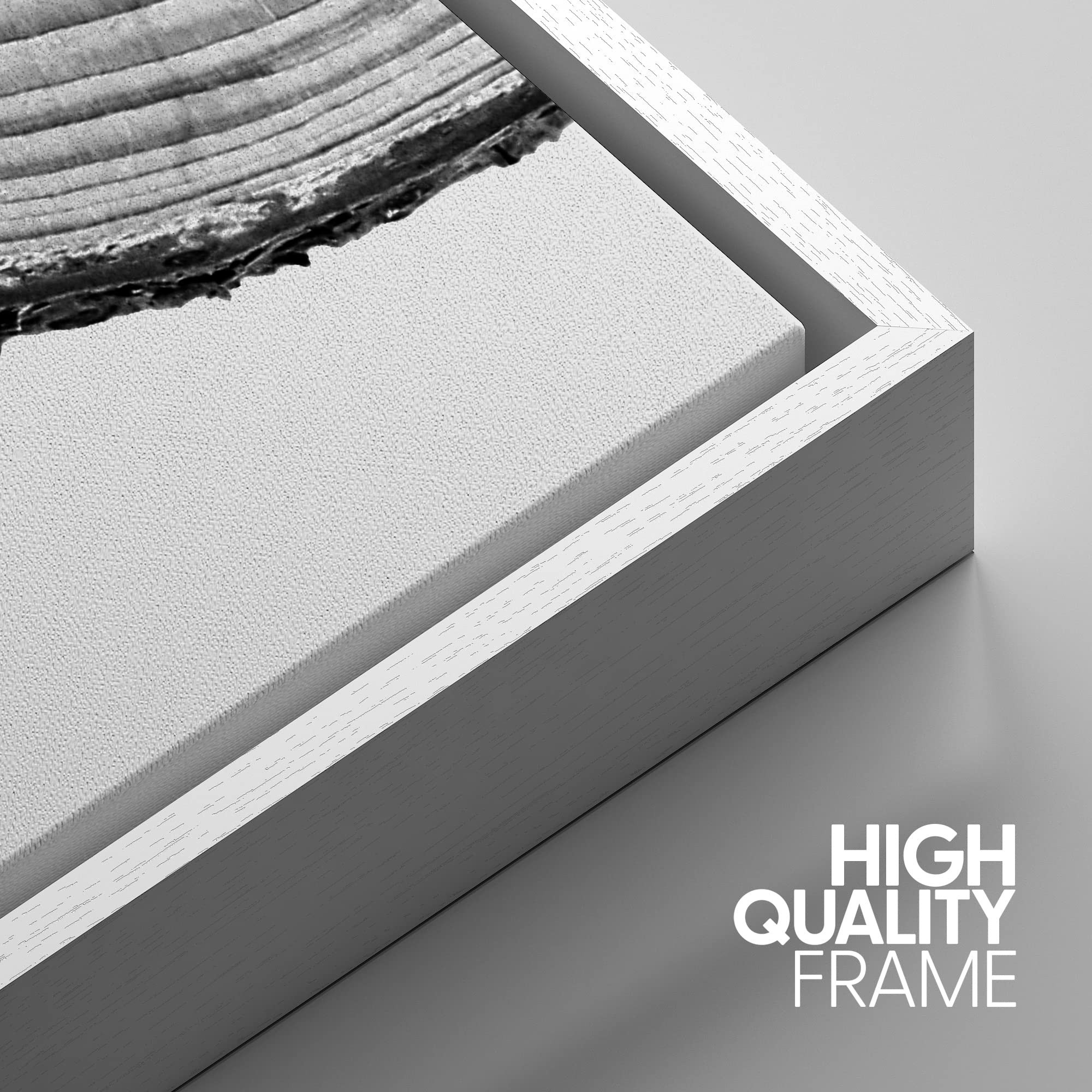 Nwt Framed Canvas Print Wall Art Set Black White High Contrast Wood Tree Rings Nature Wilderness Photography Modern Art Rustic S