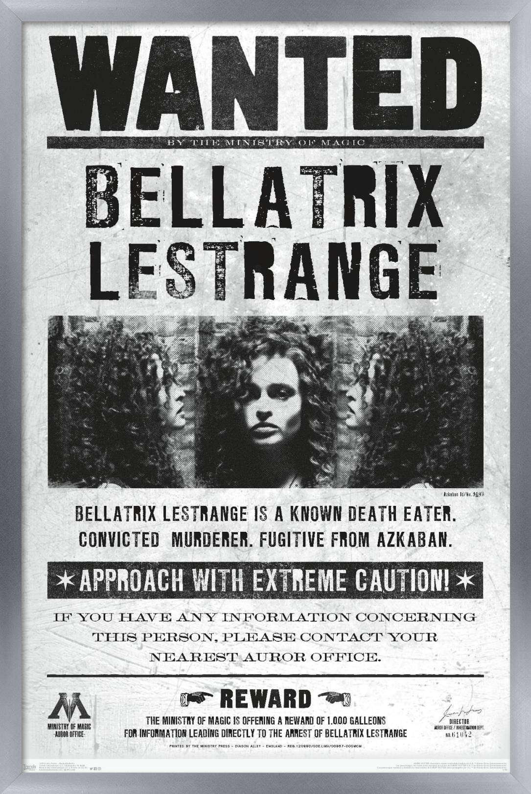 Trends International The Wizarding World: Harry Potter - Bellatrix Wanted Poster Wall Poster, 22.375'' X 34'', Silver Framed Ver