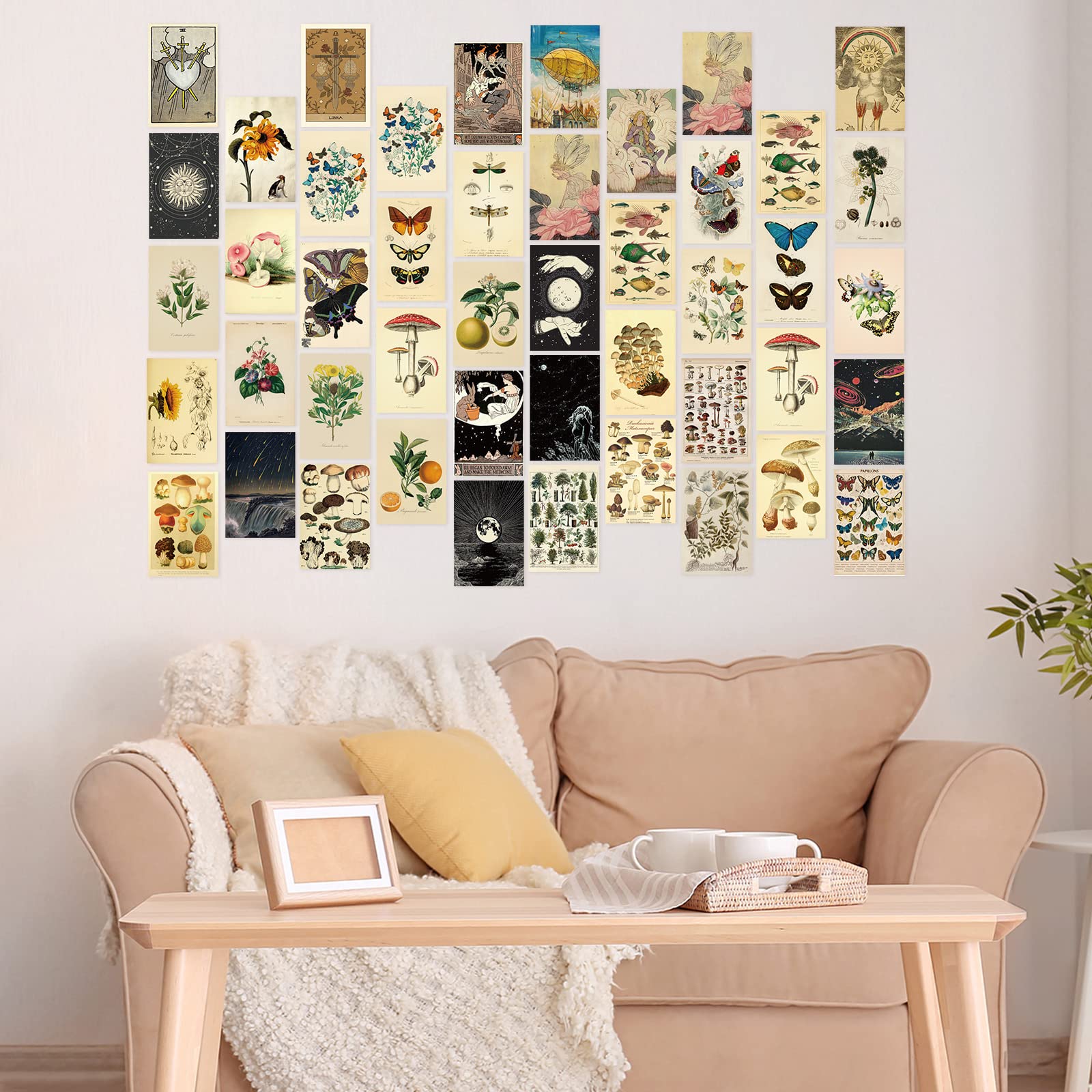 Containlol 60 Pcs Vintage Wall Collage Kit Botanical Illustration Tarot Aesthetic Print Vintage Wall Prints Vintage Cards Photo
