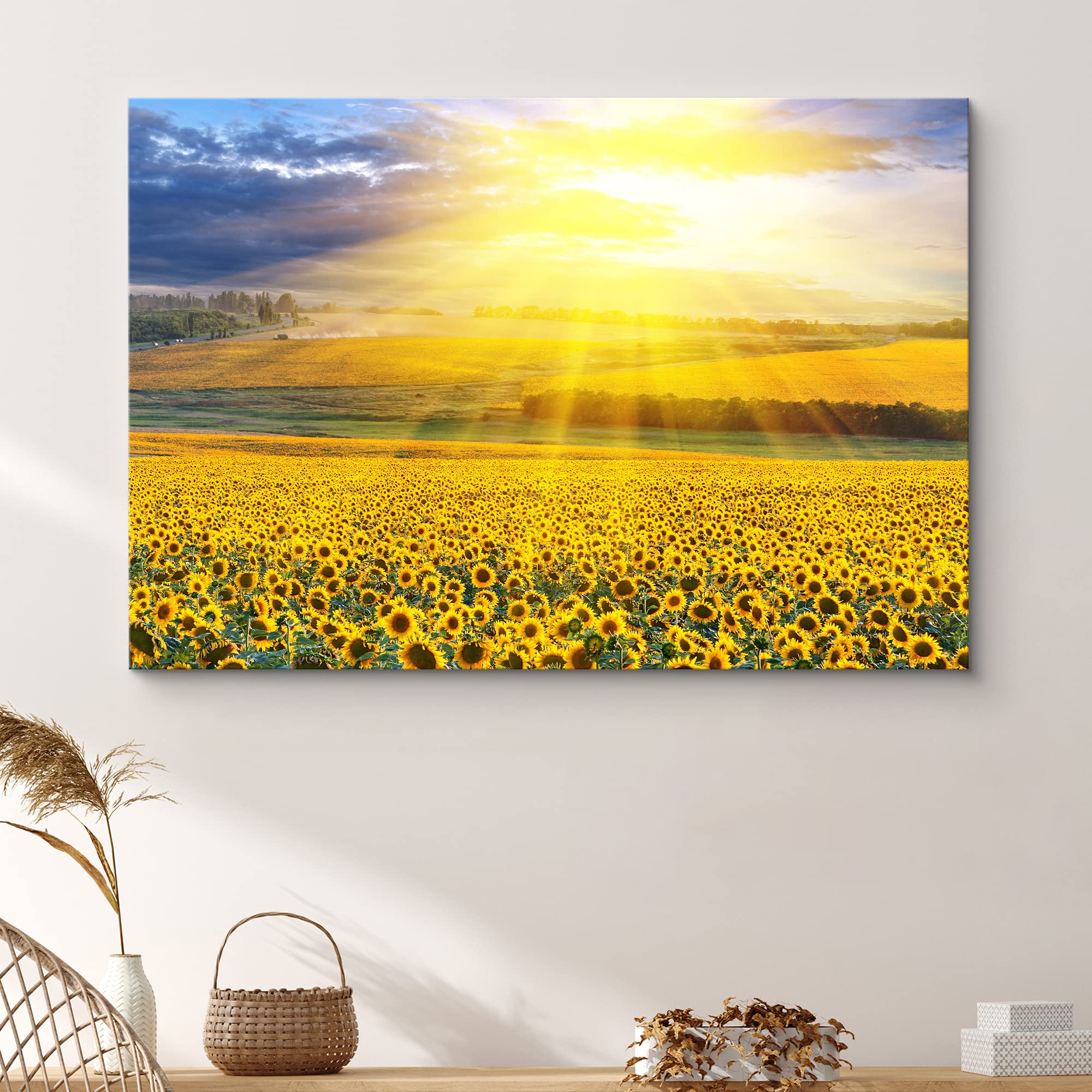 Signford Canvas Print Wall Art Sunlight Shines On Sunflower Field Floral Plants Photography Realism Contemporary Scenic Colorful