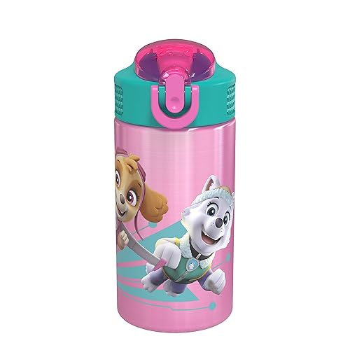 Zak Designs 18/8 Stainless Steel Kids Water Bottle with Flip-up Straw Locking Spout Cover  Durable Cup for Sports or Travel (15.5oz  Paw Patrol Skye) PWPT-S732