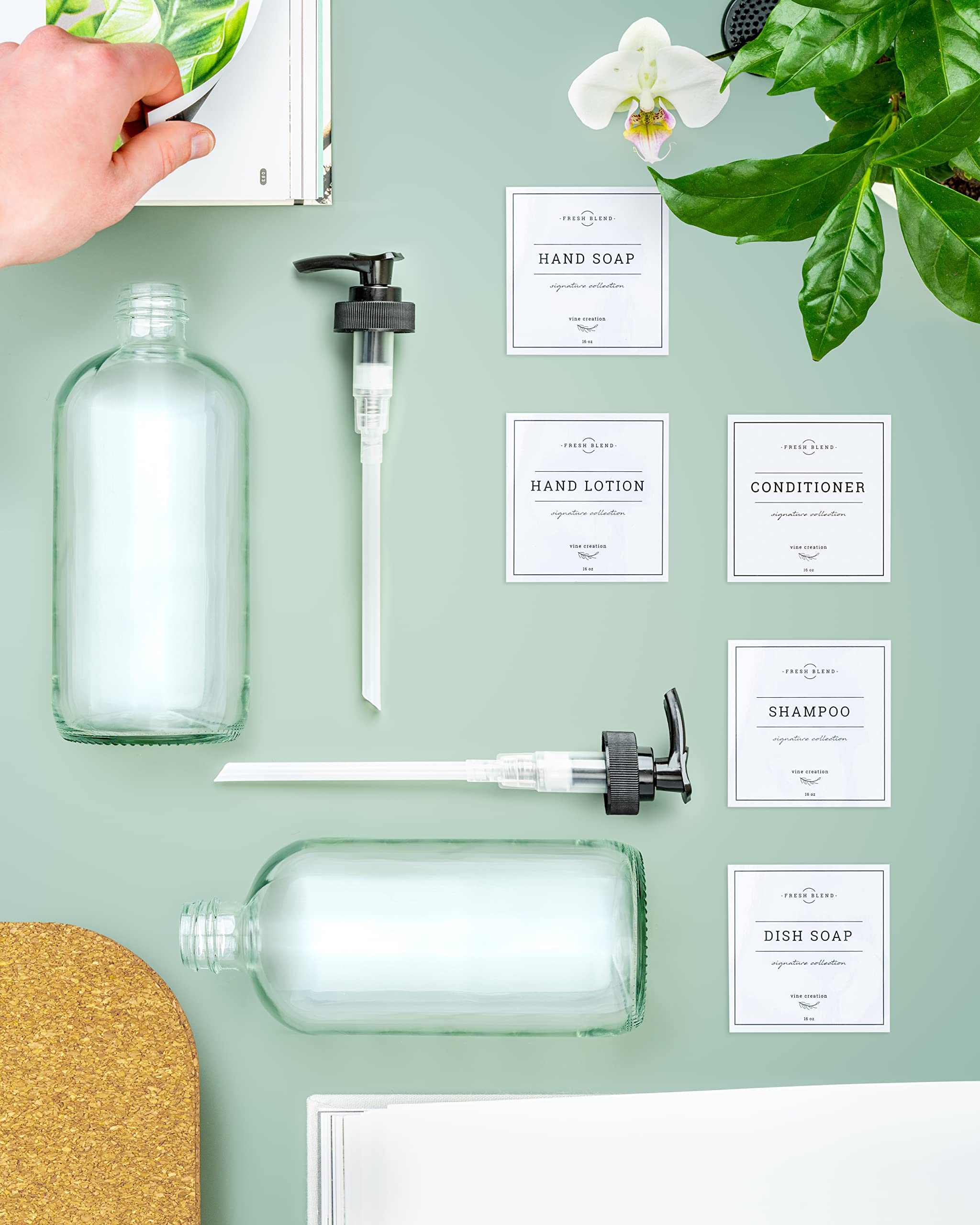 Vine Creations Clear Glass Soap Dispenser, 2 Pack Kitchen Soap Dispenser Set With Rustproof Pump, 16 Oz Hand Soap Dispenser Bath
