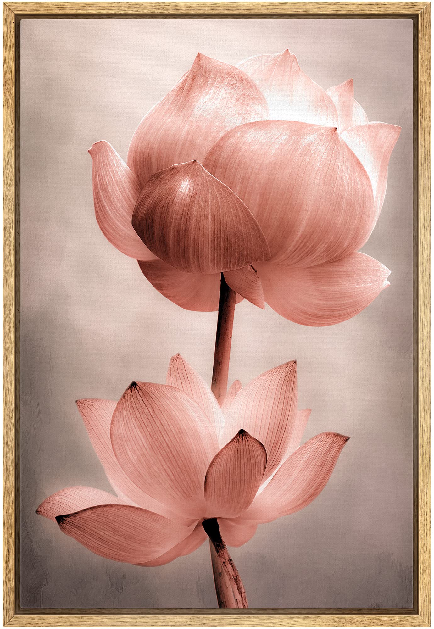 Wall26 Framed Canvas Wall Art - Closeup Of Lotus Flower - Gallery Wrap Modern Home Art | Ready To Hang - 24''X36'' Natural