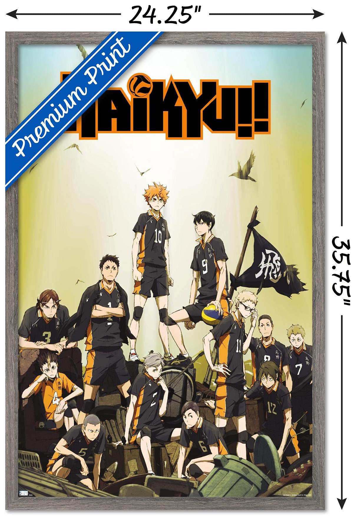 Trends International Haikyu!! - Key Art Wall Poster, 22.37'' X 34.00'', Barnwood Framed Version