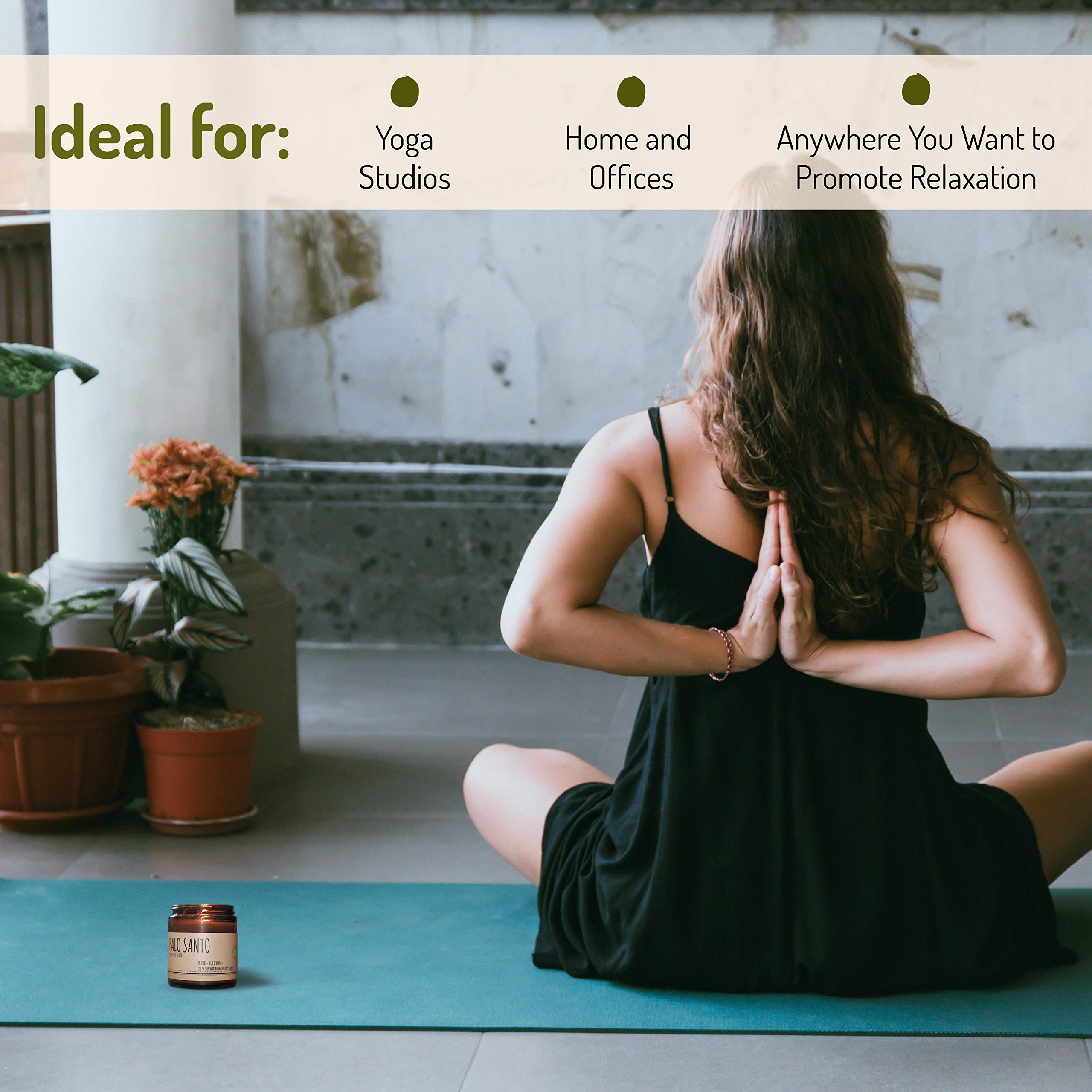 Maison Palo Santo Palo Santo from Ecuador and Greek Sage Essential Oils Aromatherapy Natural Soy Wax Candle for Home Cleansing B