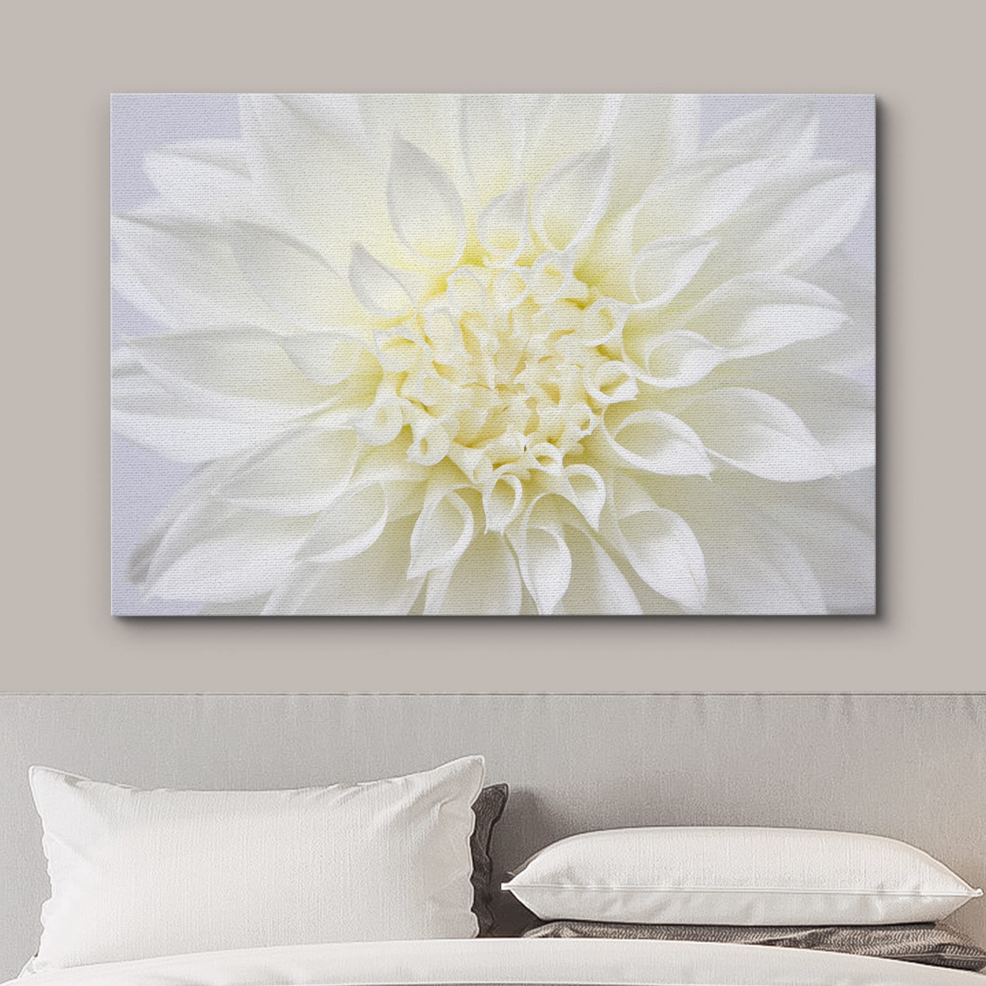 Wall26 Canvas Print Wall Art Vibrant High Contrast Detail White Flower Nature Floral Photography Realism Botanical Wilderness Ze