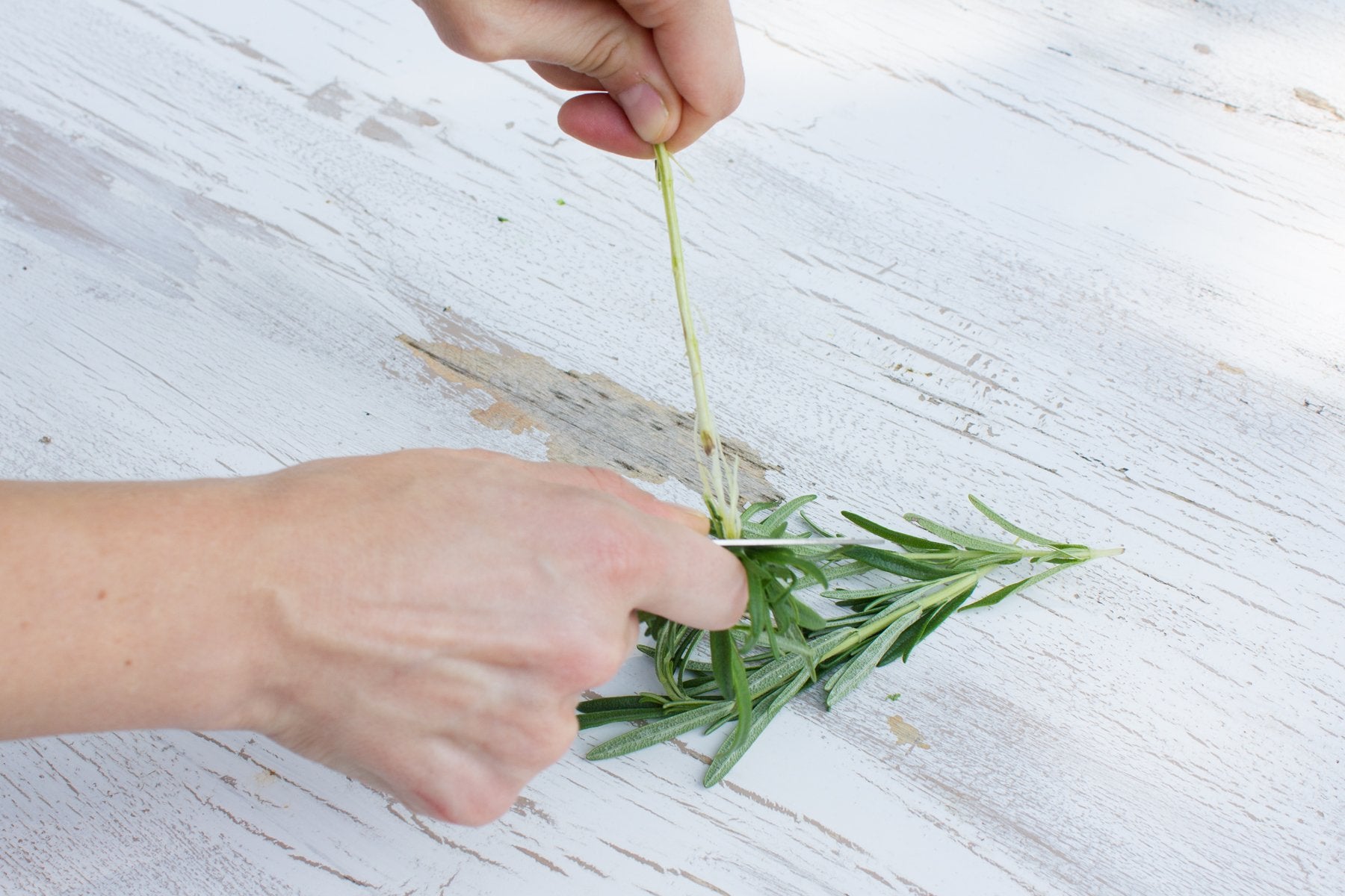 Raw Rutes Kale Razor - Stainless Steel Herb Stripping Tool - Made in the USA - Perfect for Kale & Herb Stems - Model COMINHKPR138365
