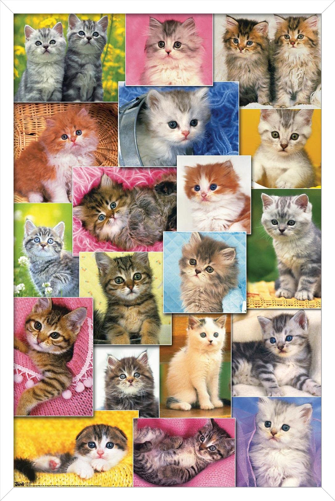 Trends International Keith Kimberlin - Kittens Collage Wall Poster, 22.375'' X 34'', White Framed Version