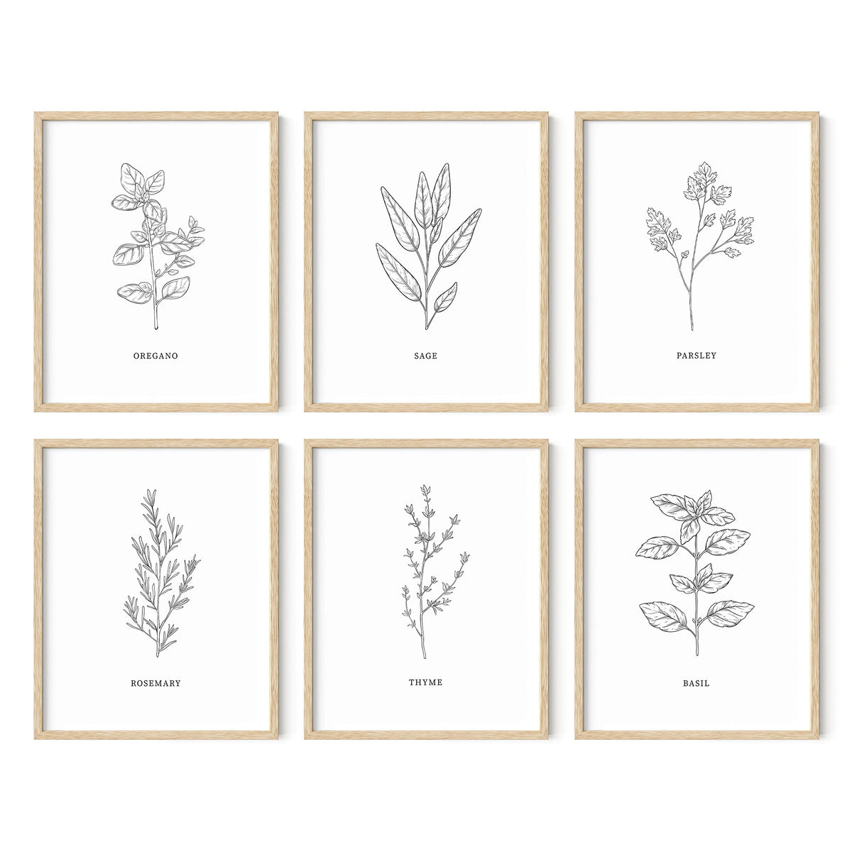 Haus And Hues Kitchen Herbs Wall Art Decor For Kitchen Herb Art Prints And Kitchen Signs Wall Decor  Herb Prints Kitchen Wall Ar